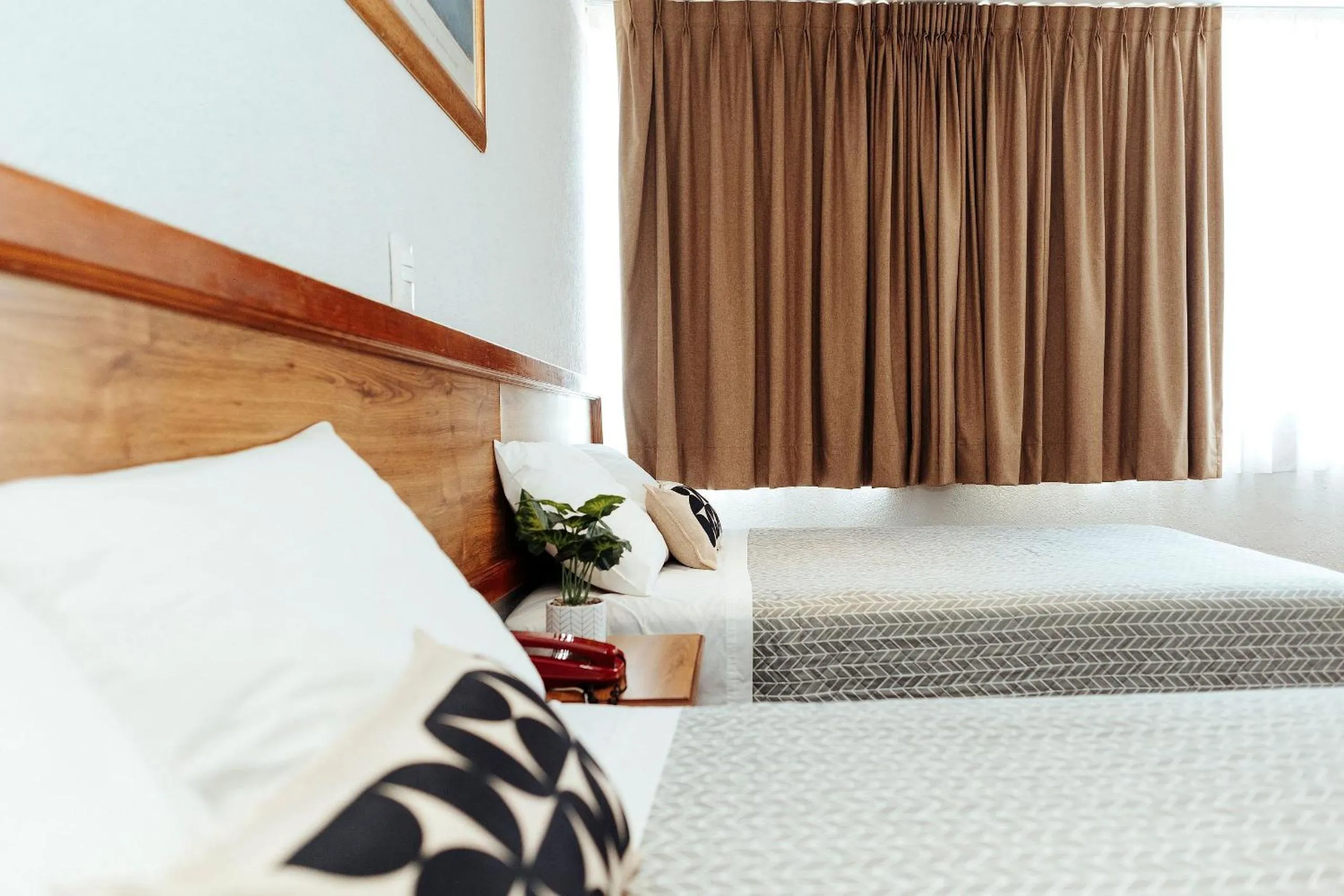 Photo of the whole room, Bed in Hotel Don Simón