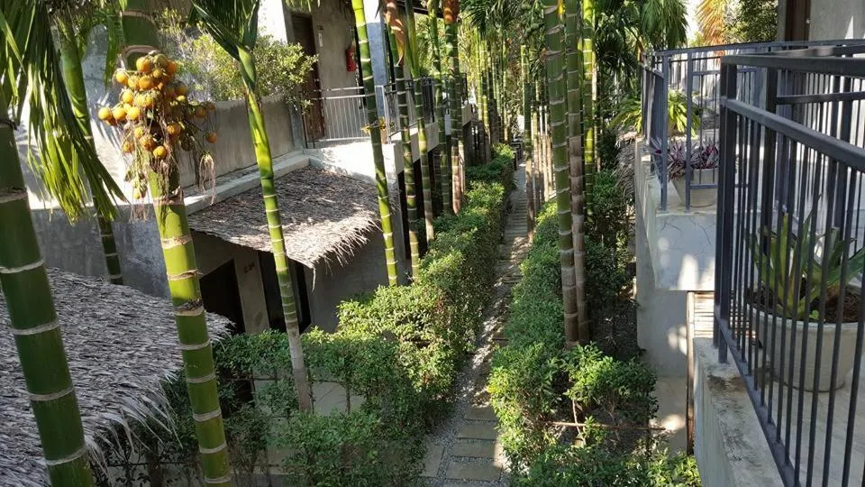 Garden in The Curve Residence