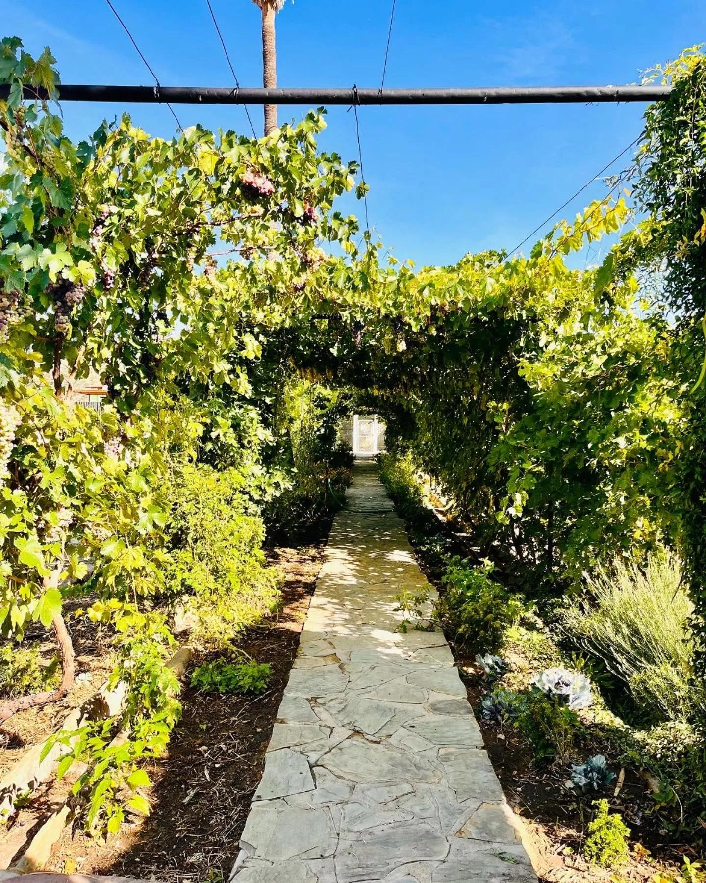 Spring in Droombos Boutique Hotel