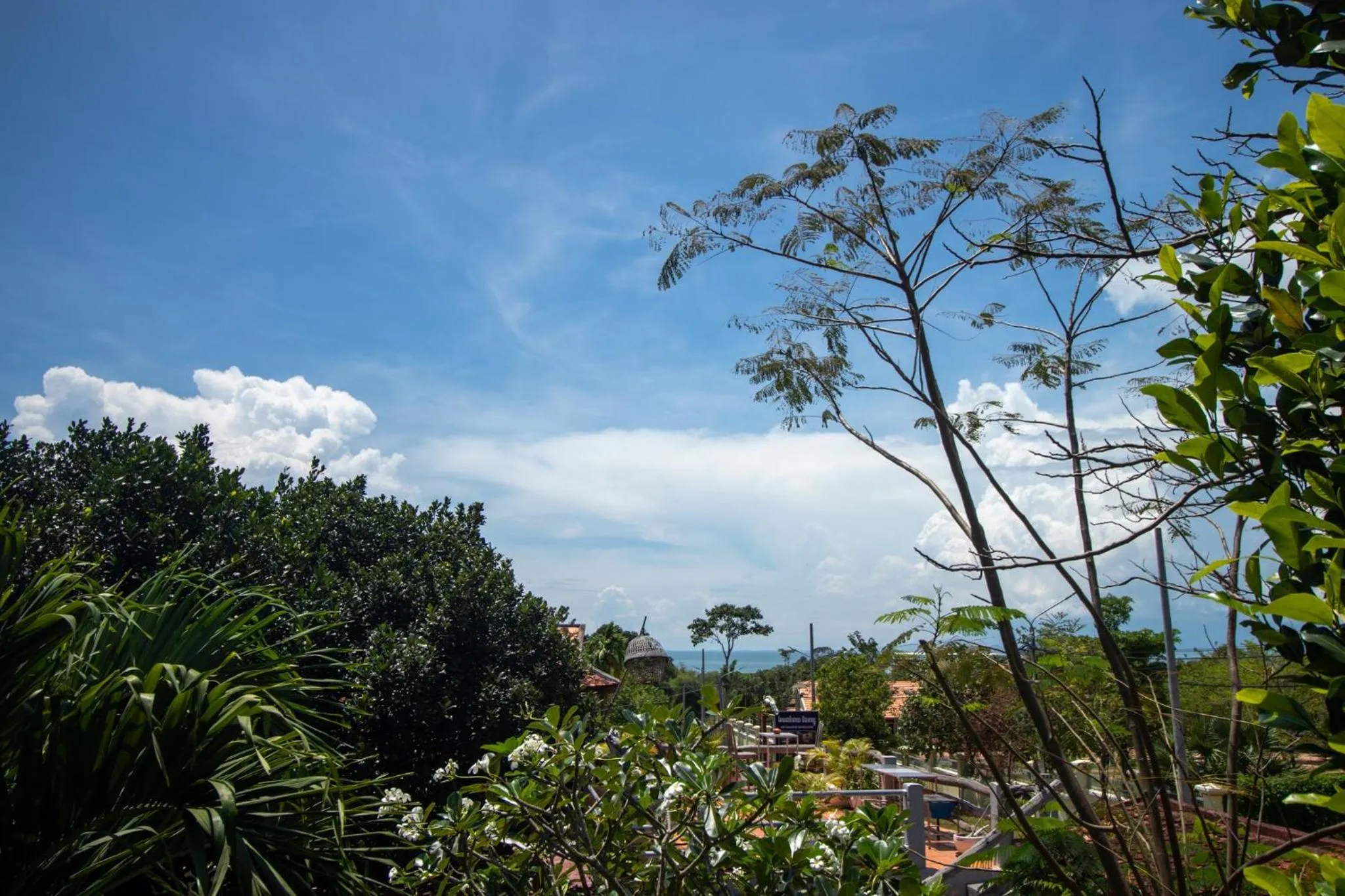 Natural landscape in TARA LODGE Haven of peace