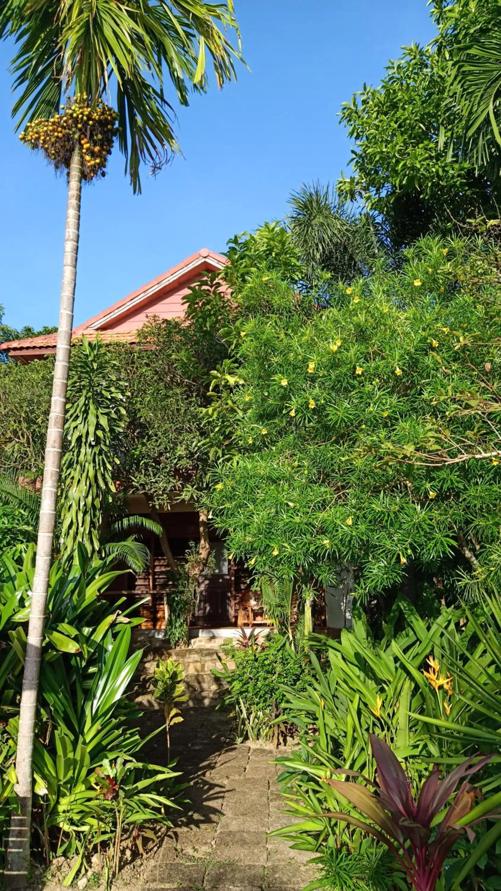 Property building in TARA LODGE Haven of peace