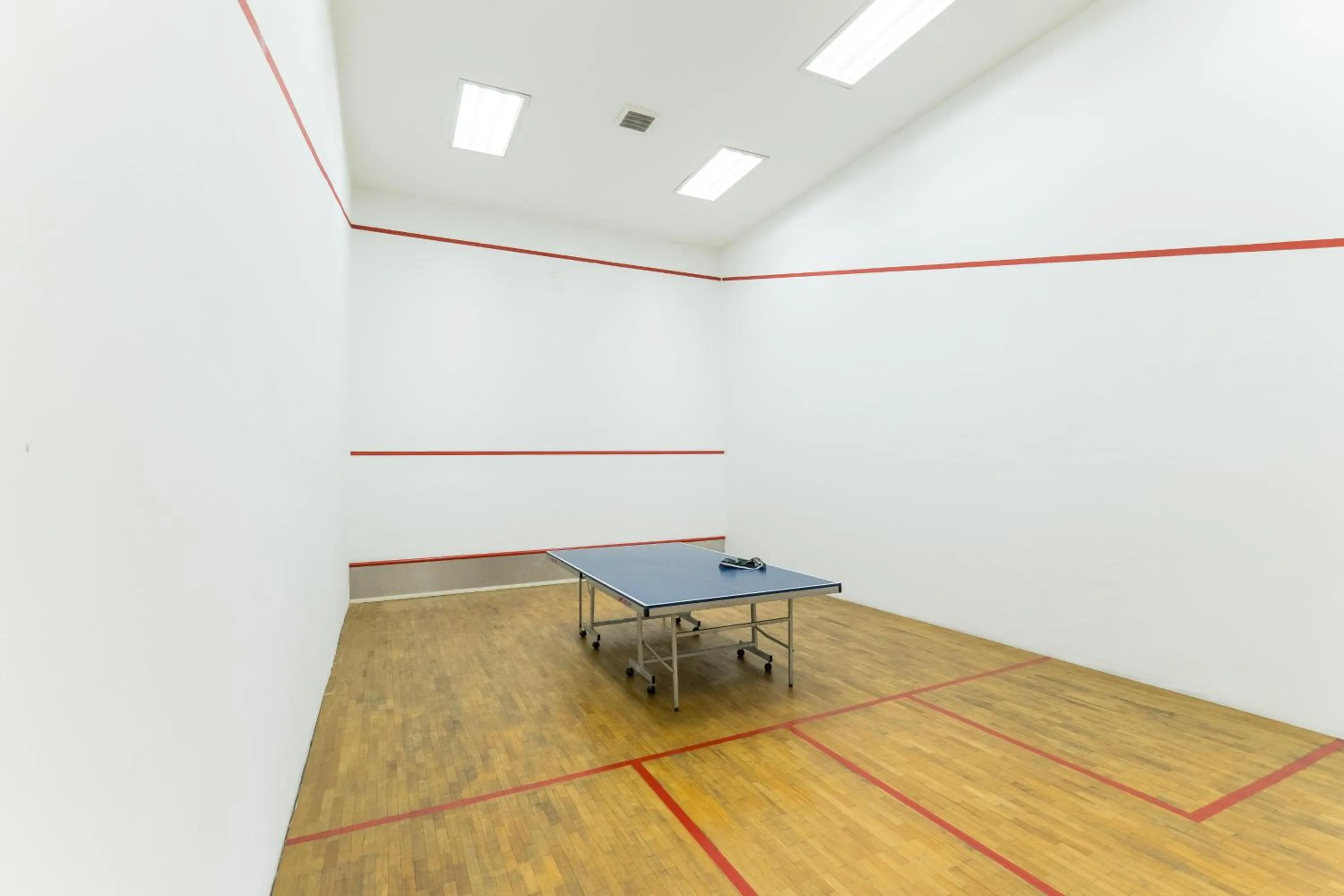 Table tennis in Home sweet home