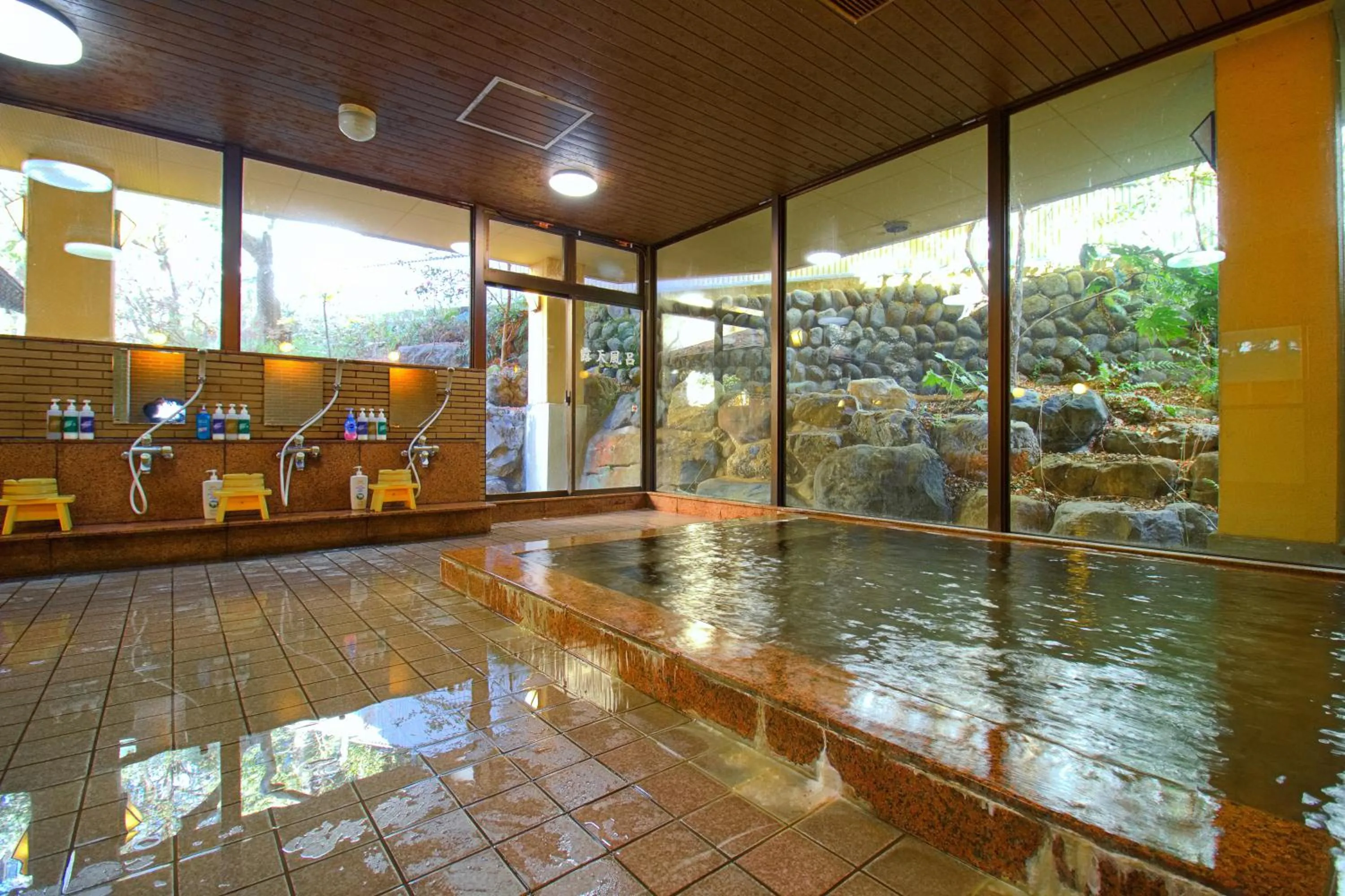 Public Bath in Hotel Kinu