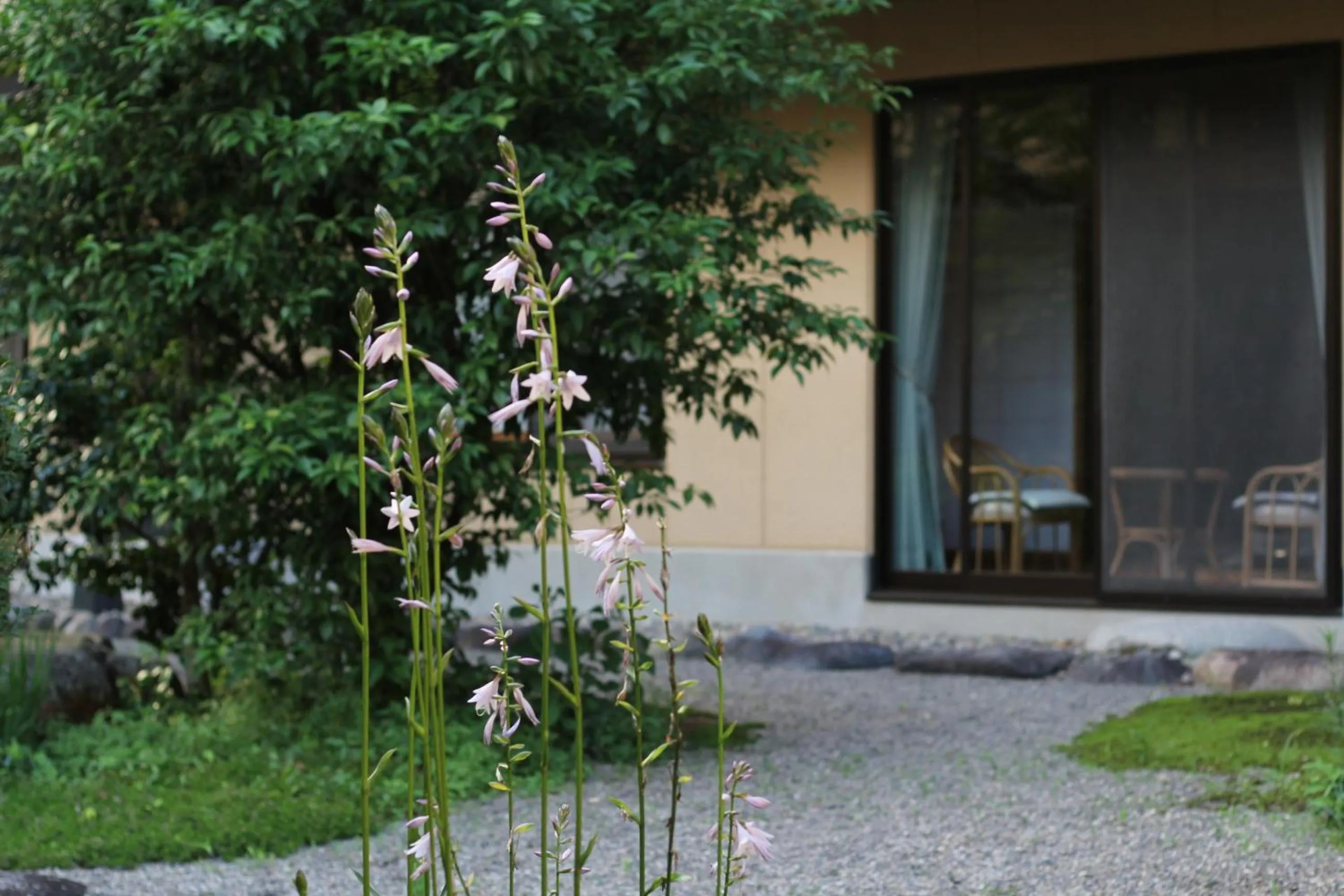 Garden in Hotel Kinu
