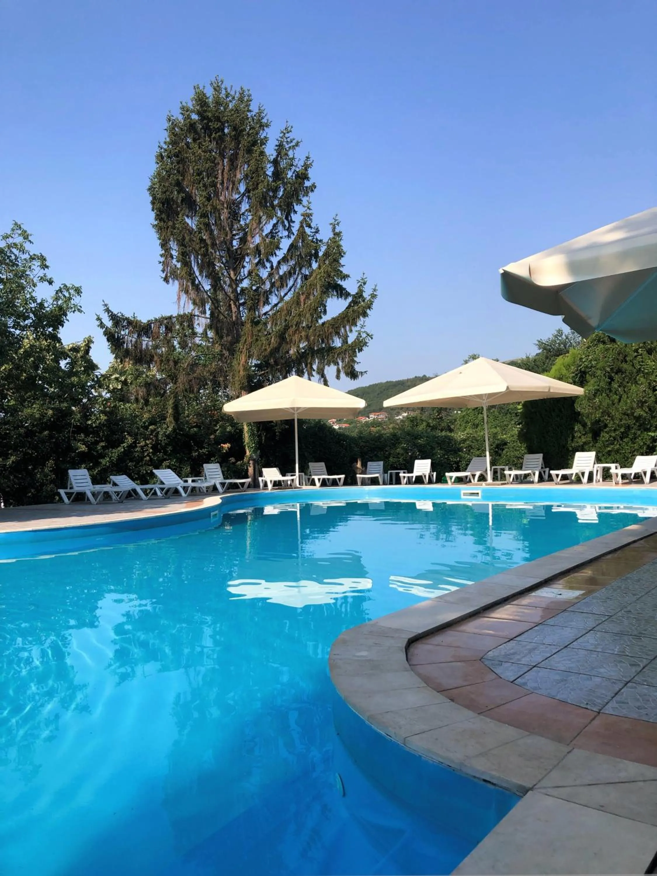 Swimming pool in Hotel Naslada