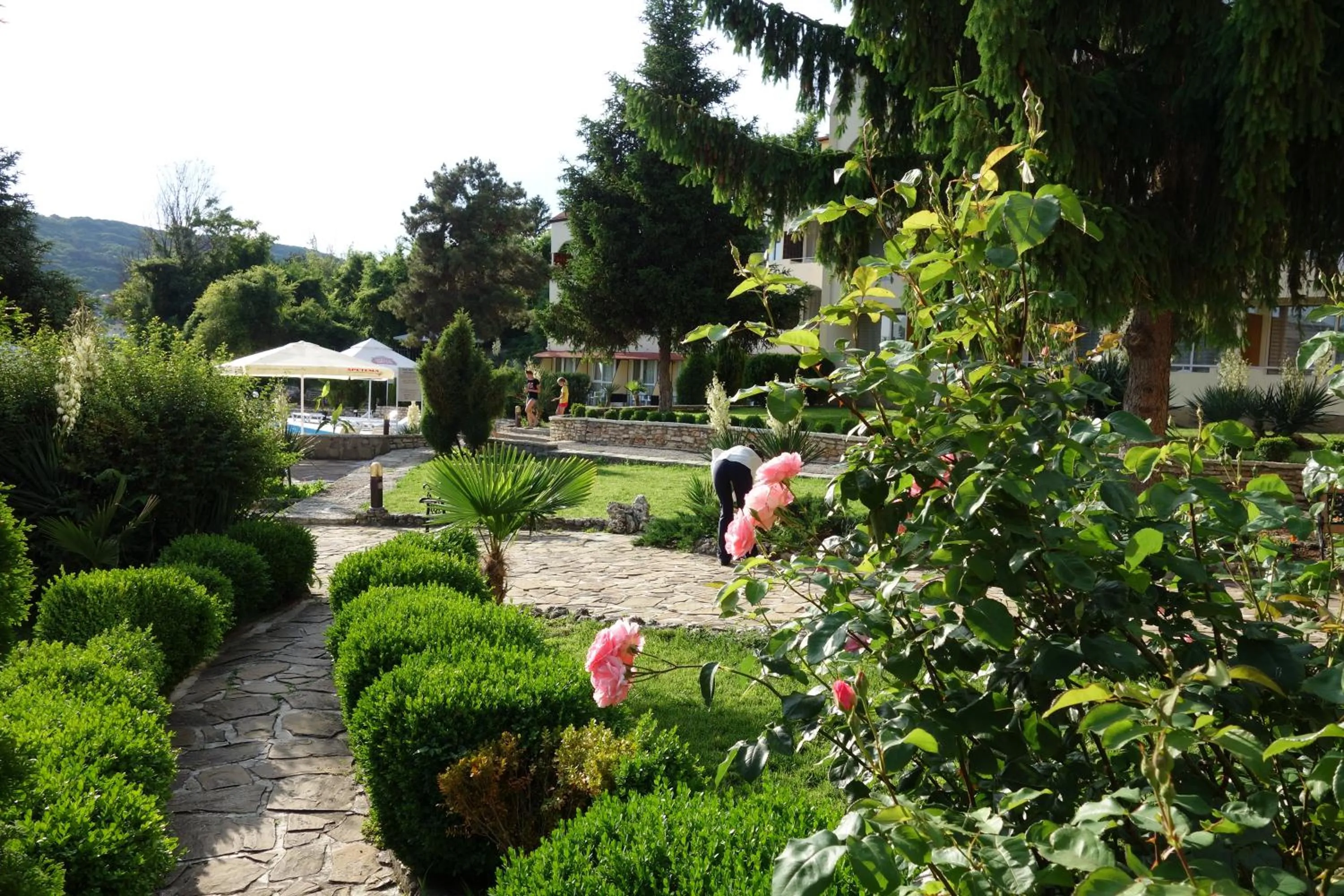 Garden in Hotel Naslada