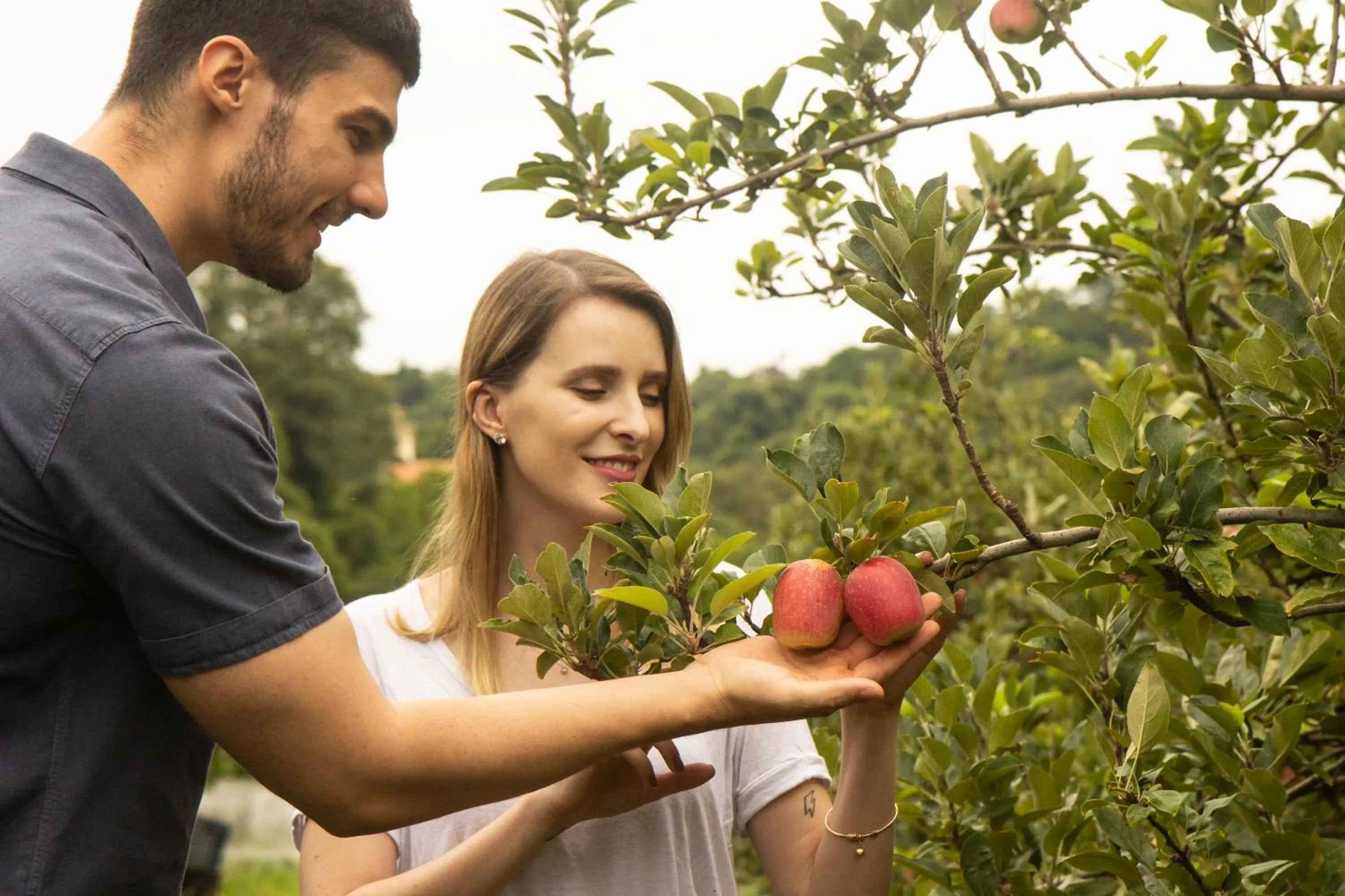 Natural landscape in Hotel Vinícola Davo