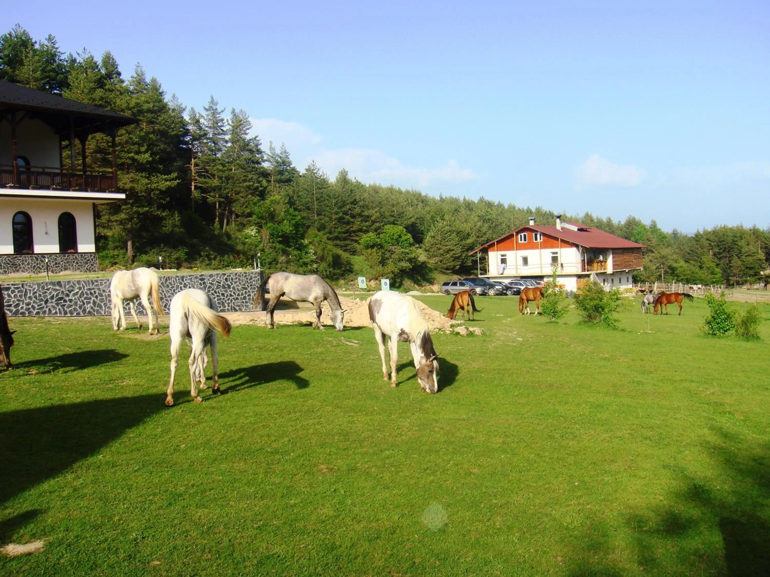 Property building in Rusaliite Adventure House