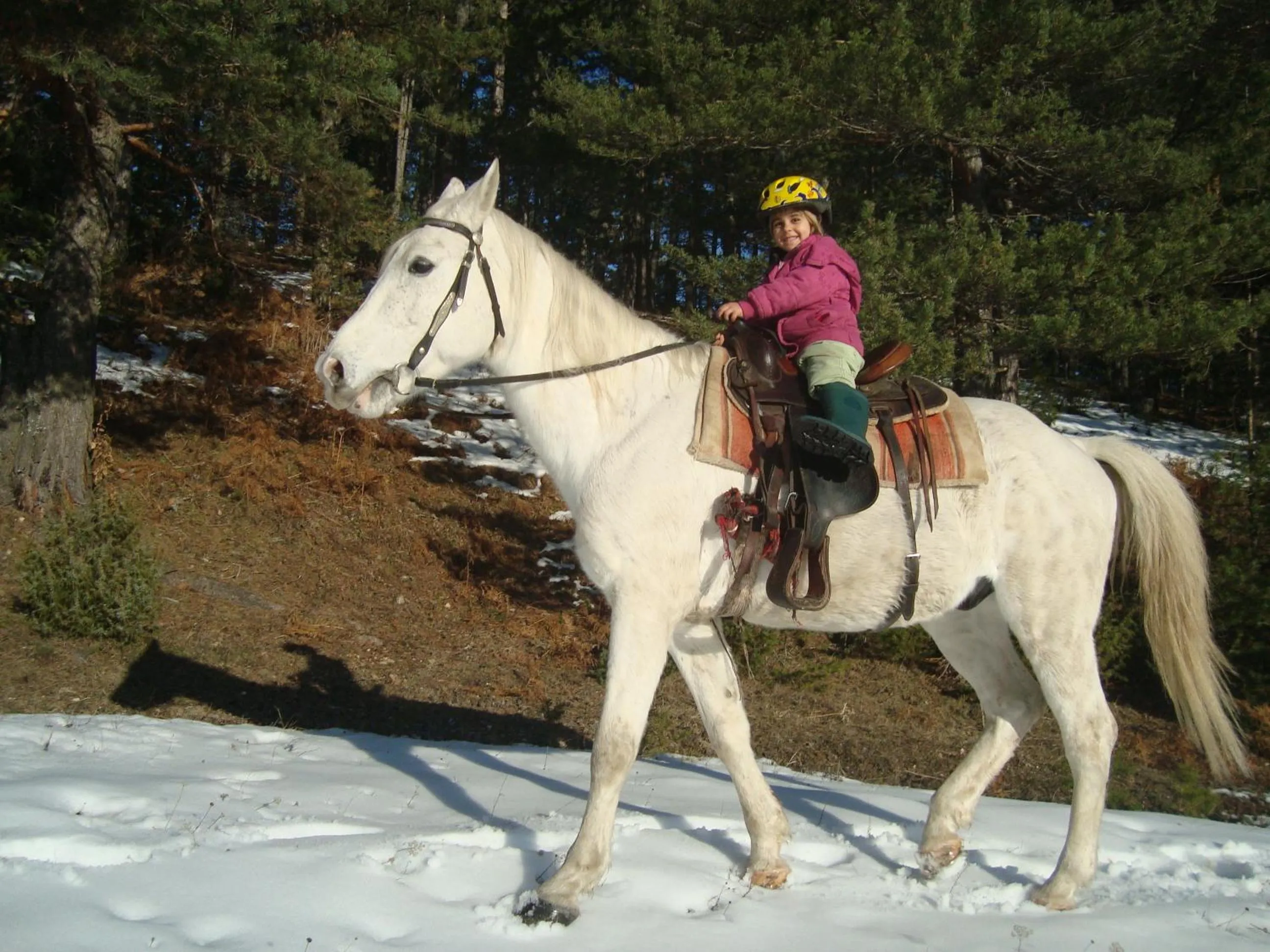 Horse-riding in Rusaliite Adventure House