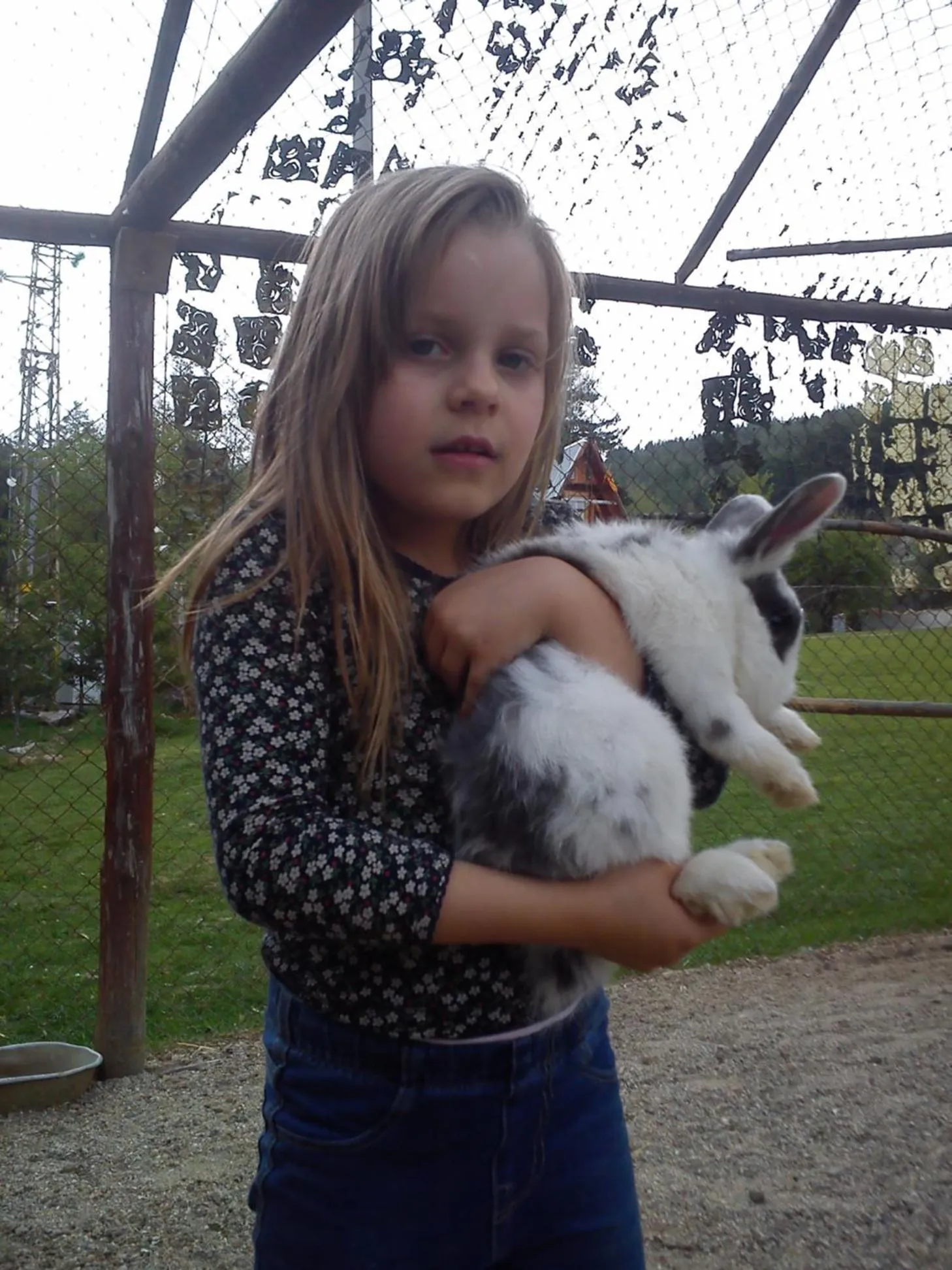 Pets in Rusaliite Adventure House