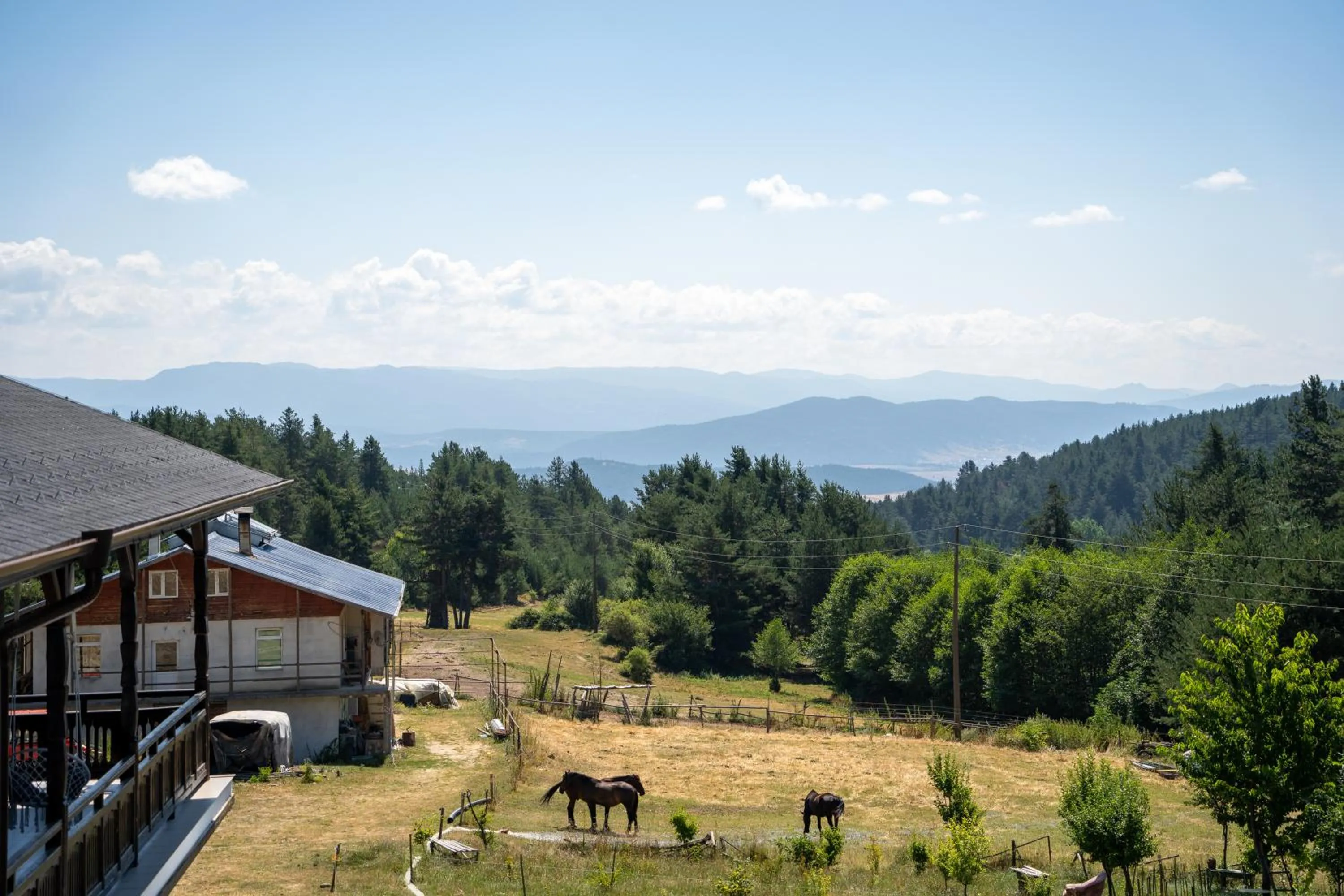 Day in Rusaliite Adventure House