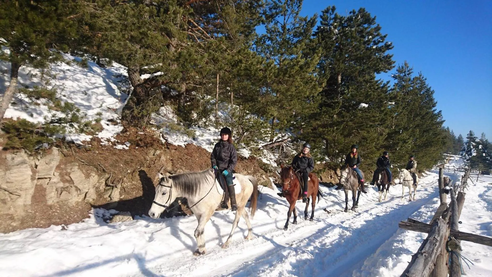 Horse-riding in Rusaliite Adventure House