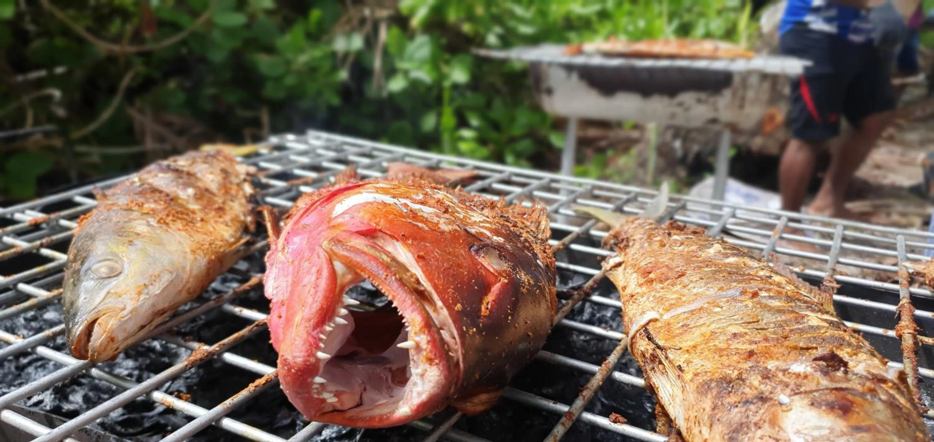 BBQ facilities in Thoddoo Retreat Grand