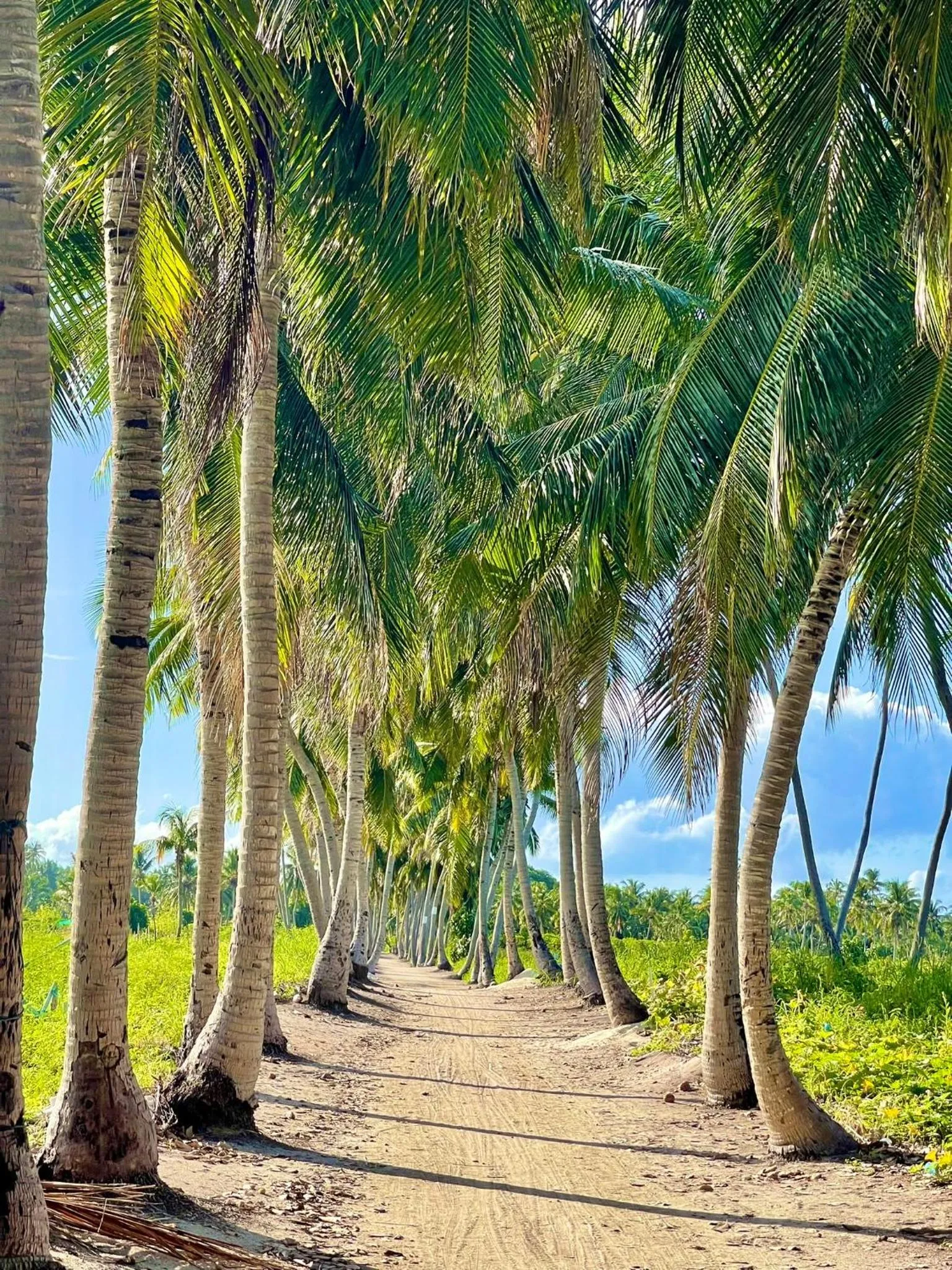 Thoddoo Retreat Grand