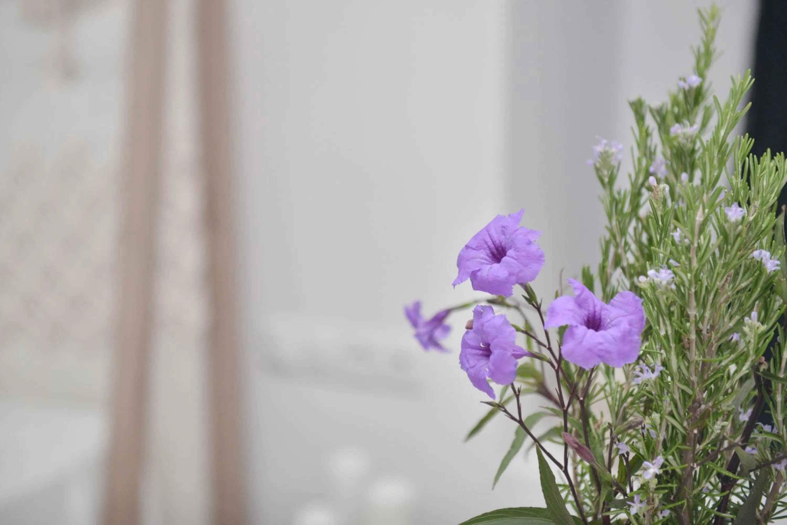 Decorative detail in Blue Paradise Apartments
