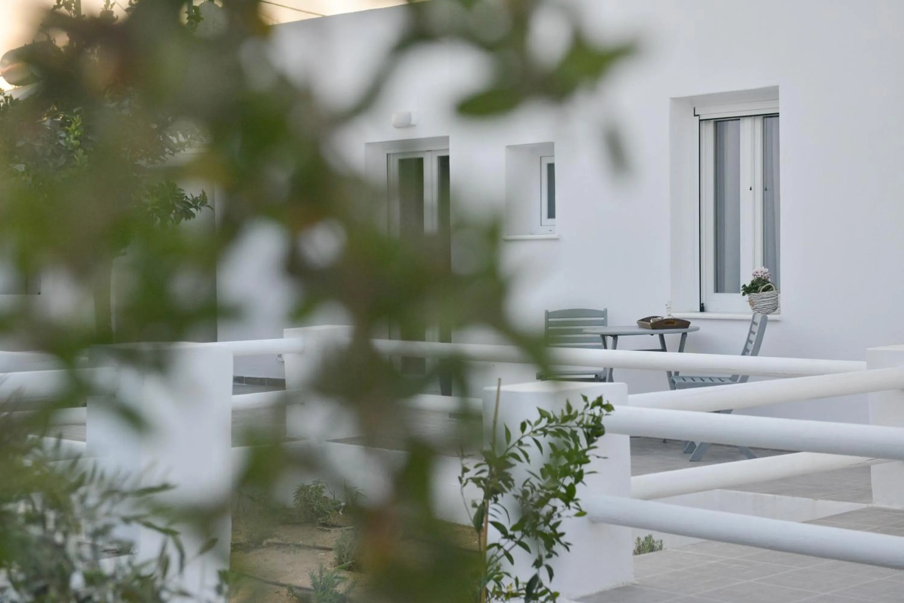 Garden view in Blue Paradise Apartments