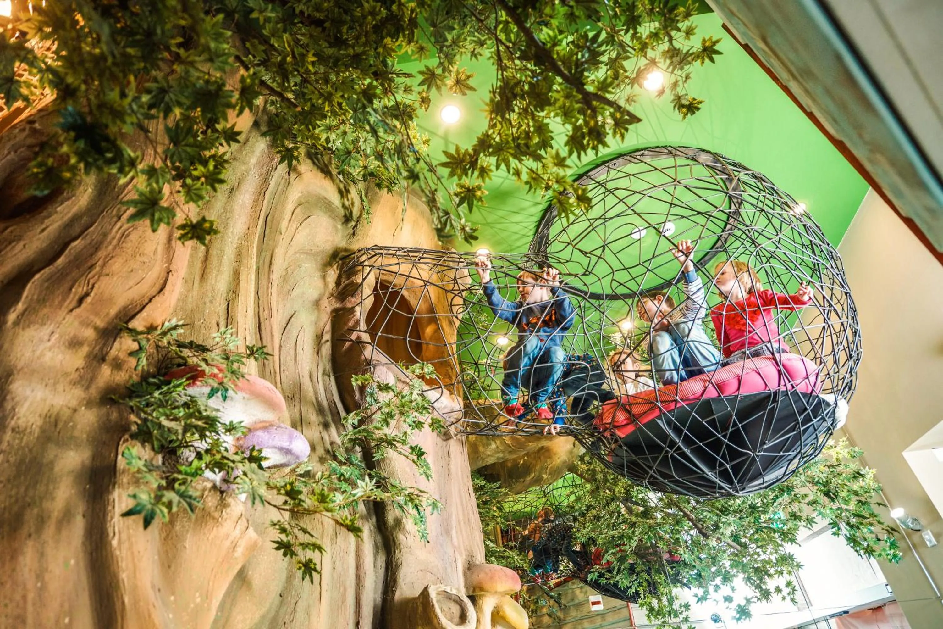 Activities in Märchenhotel