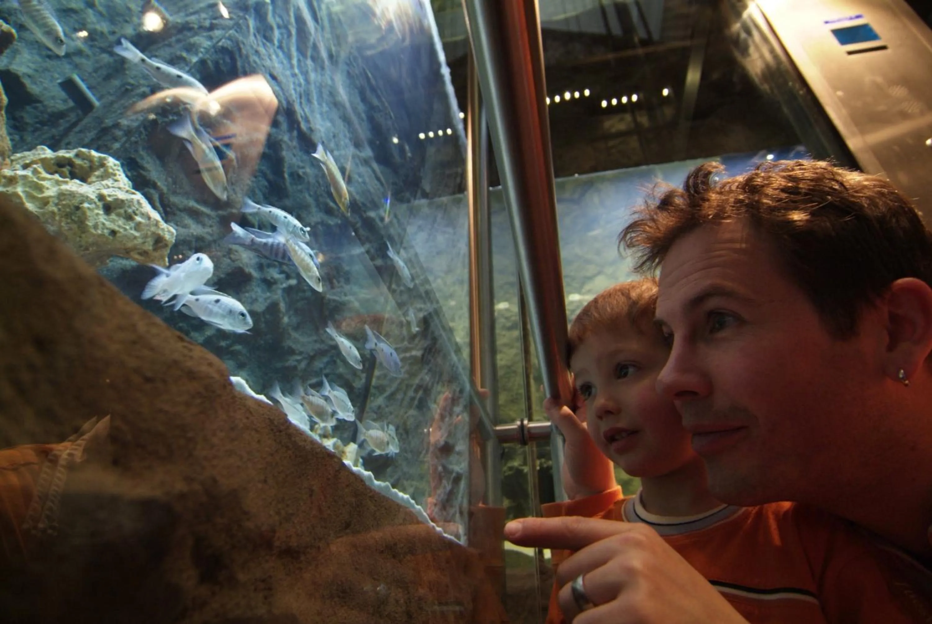 People in Märchenhotel