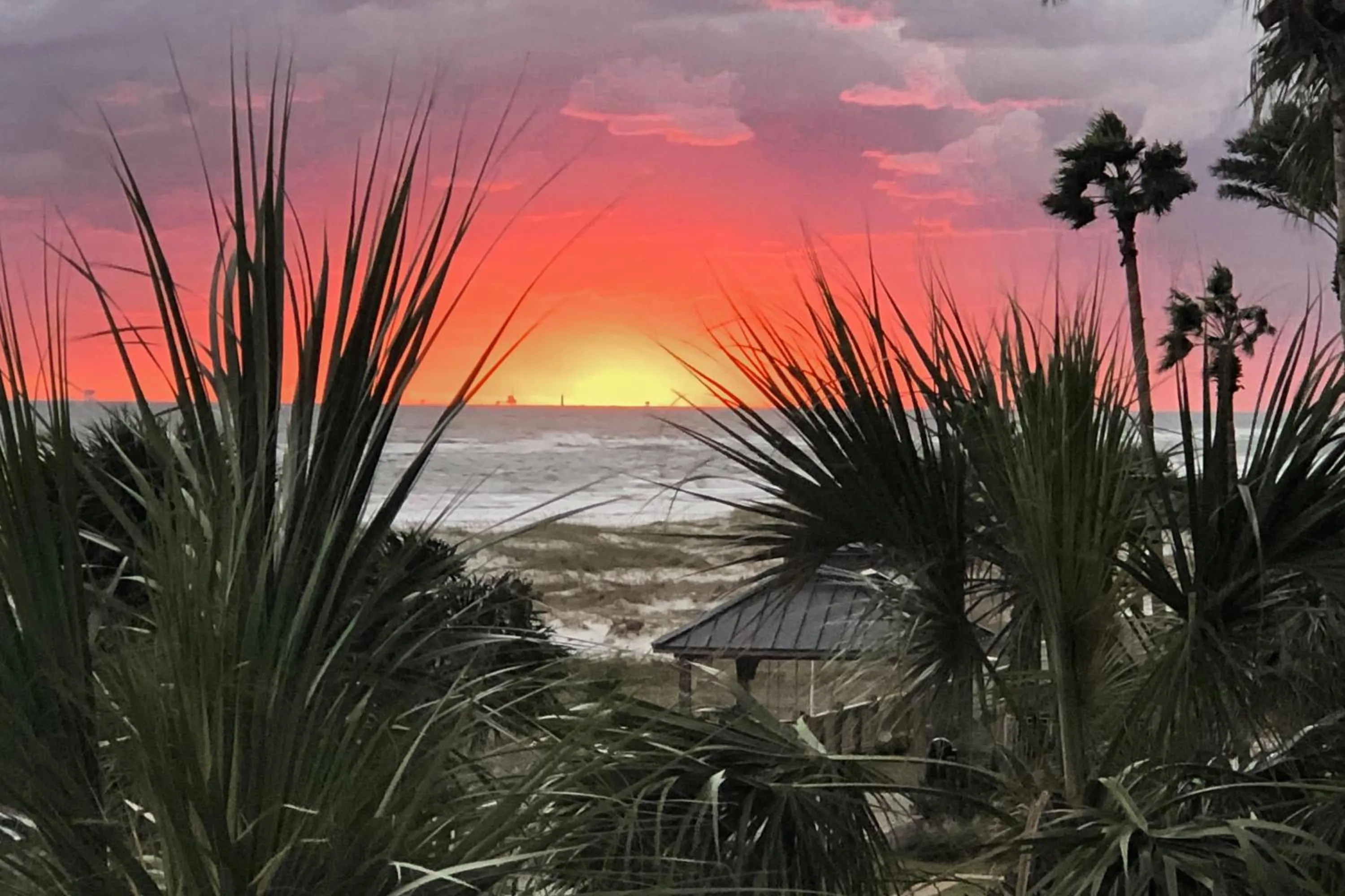 The Beach Club Catalina 306