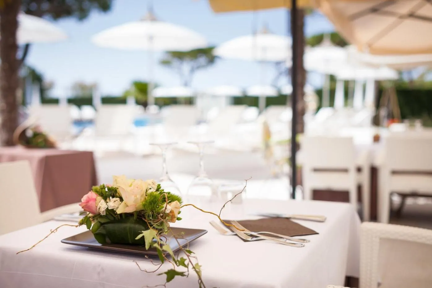 Other in Hotel Elite