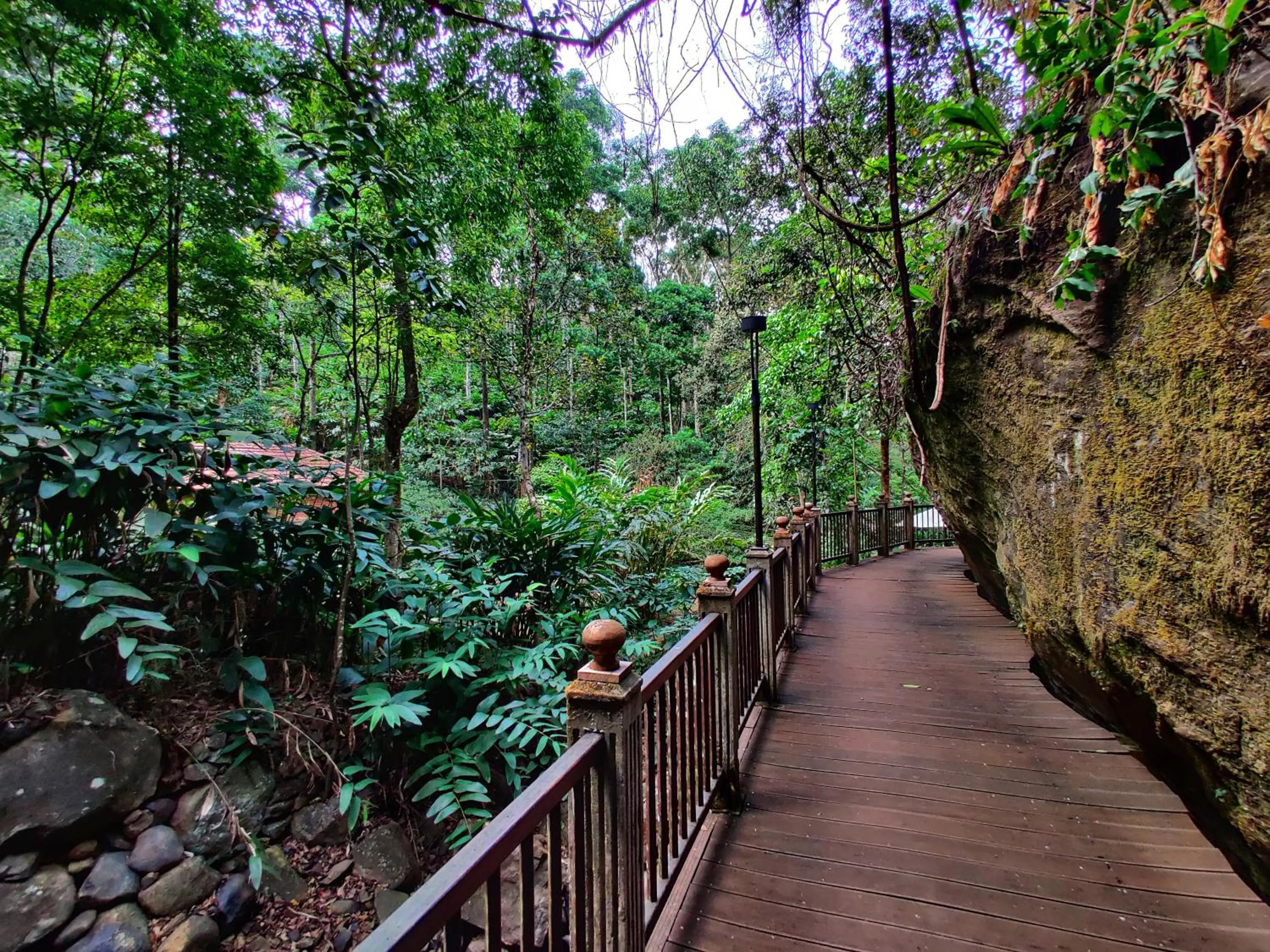 Property building in Mystic Mayapott, Thekkady