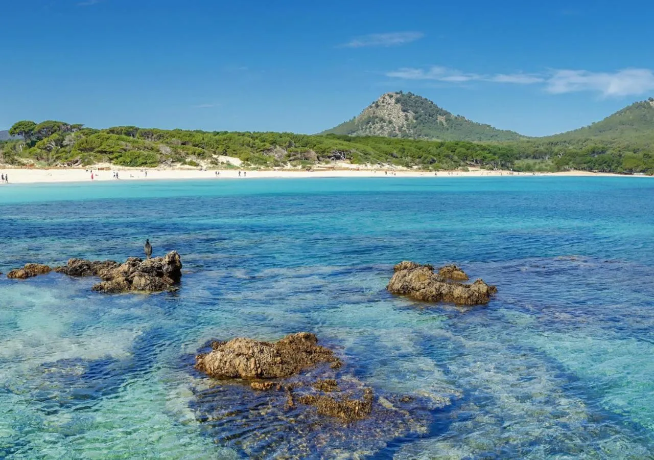 Nearby landmark in Onmood Cala Ratjada - Bed & Brunch