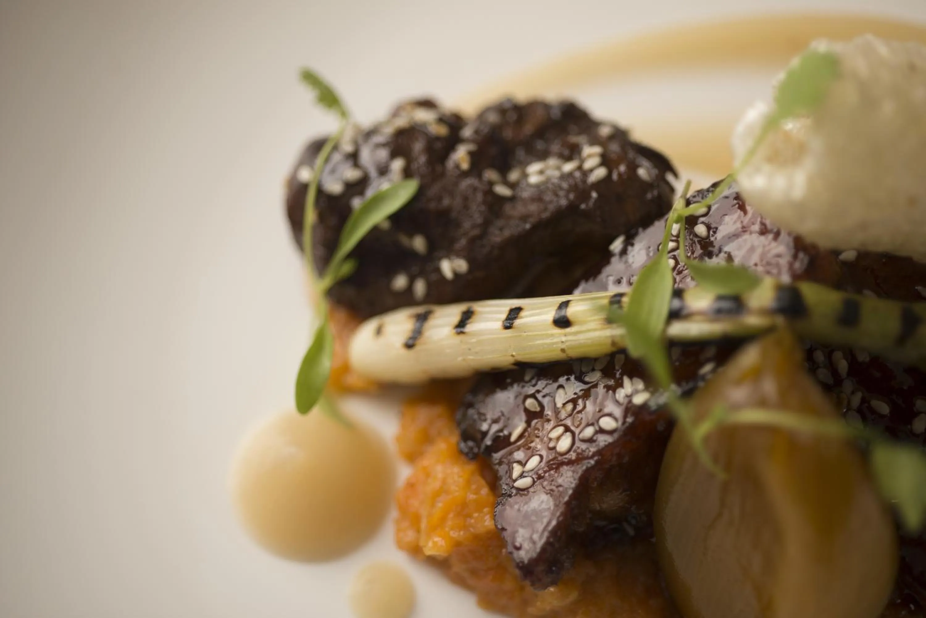 Meals in Kentisbury Grange