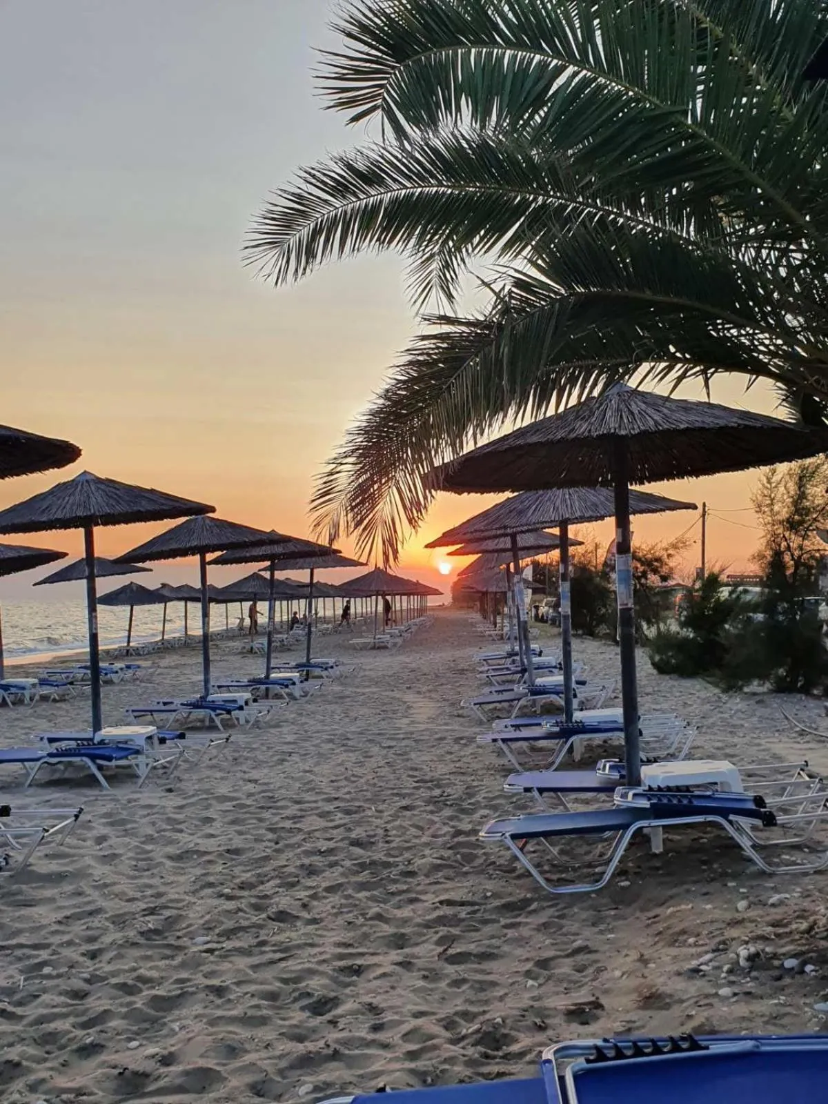 Beach in Hotel Nautilos