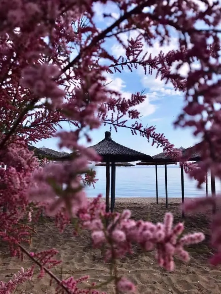 Spring in Hotel Nautilos