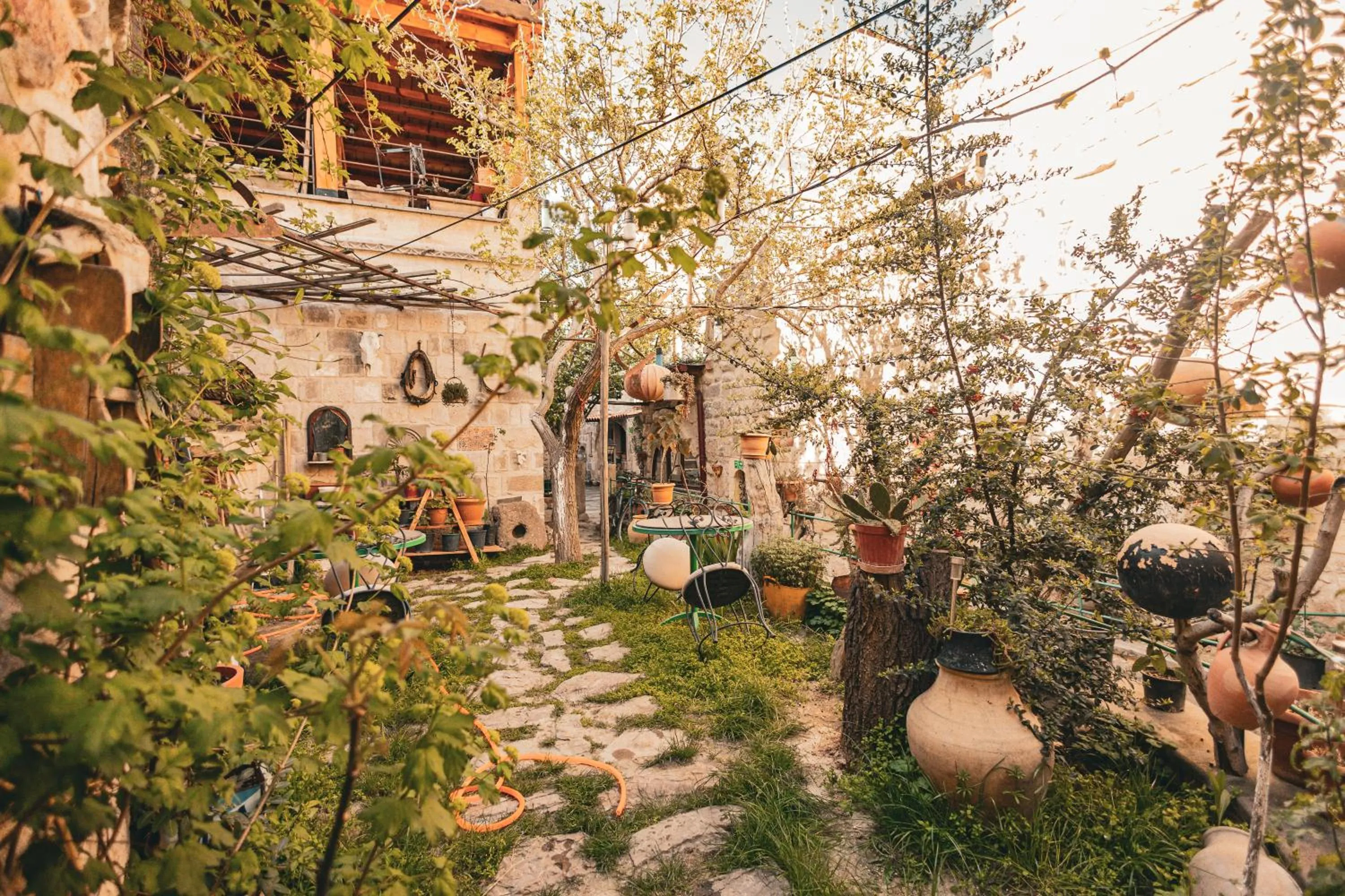 Garden in Vintage Cave House Hotel