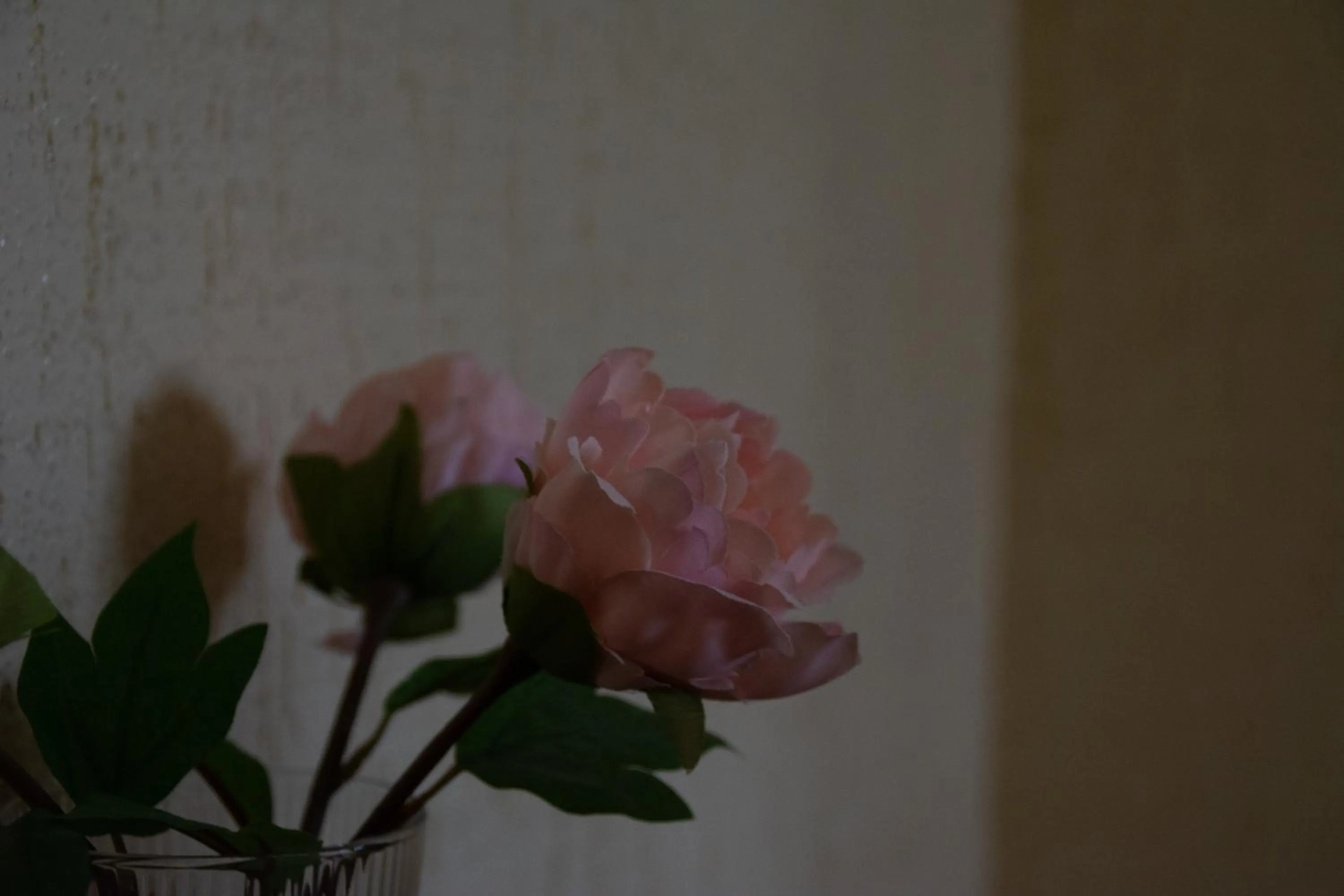 Decorative detail in Hostal Rural La Plata Parking Incluido