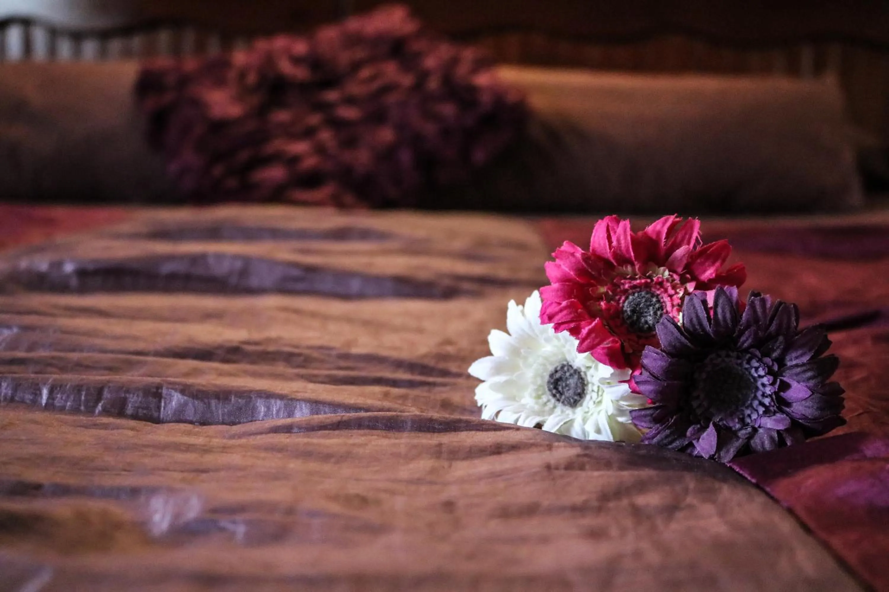 Bed in Hostal Rural La Plata Parking Incluido