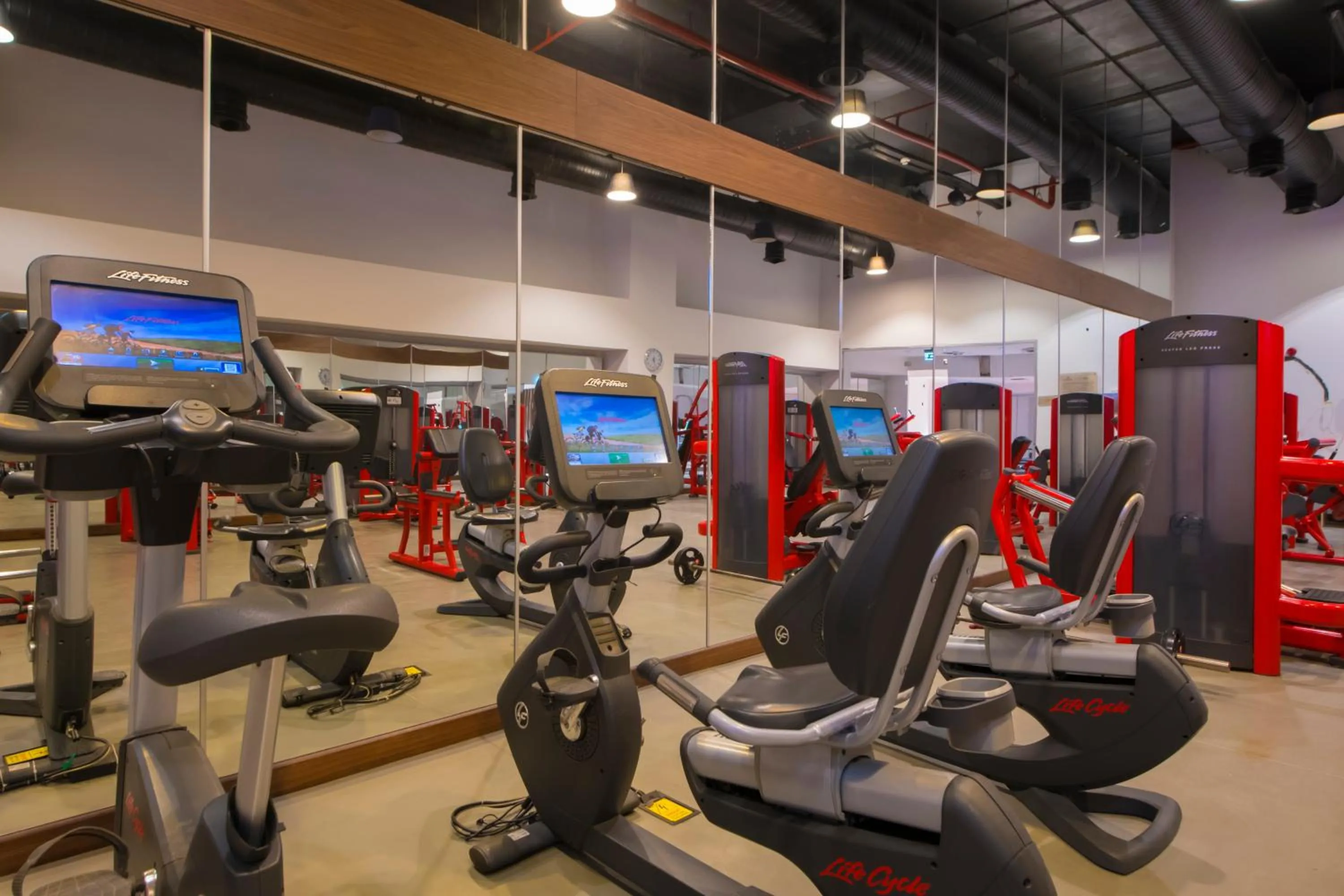 Fitness centre/facilities in Crowne Plaza Kayseri by IHG