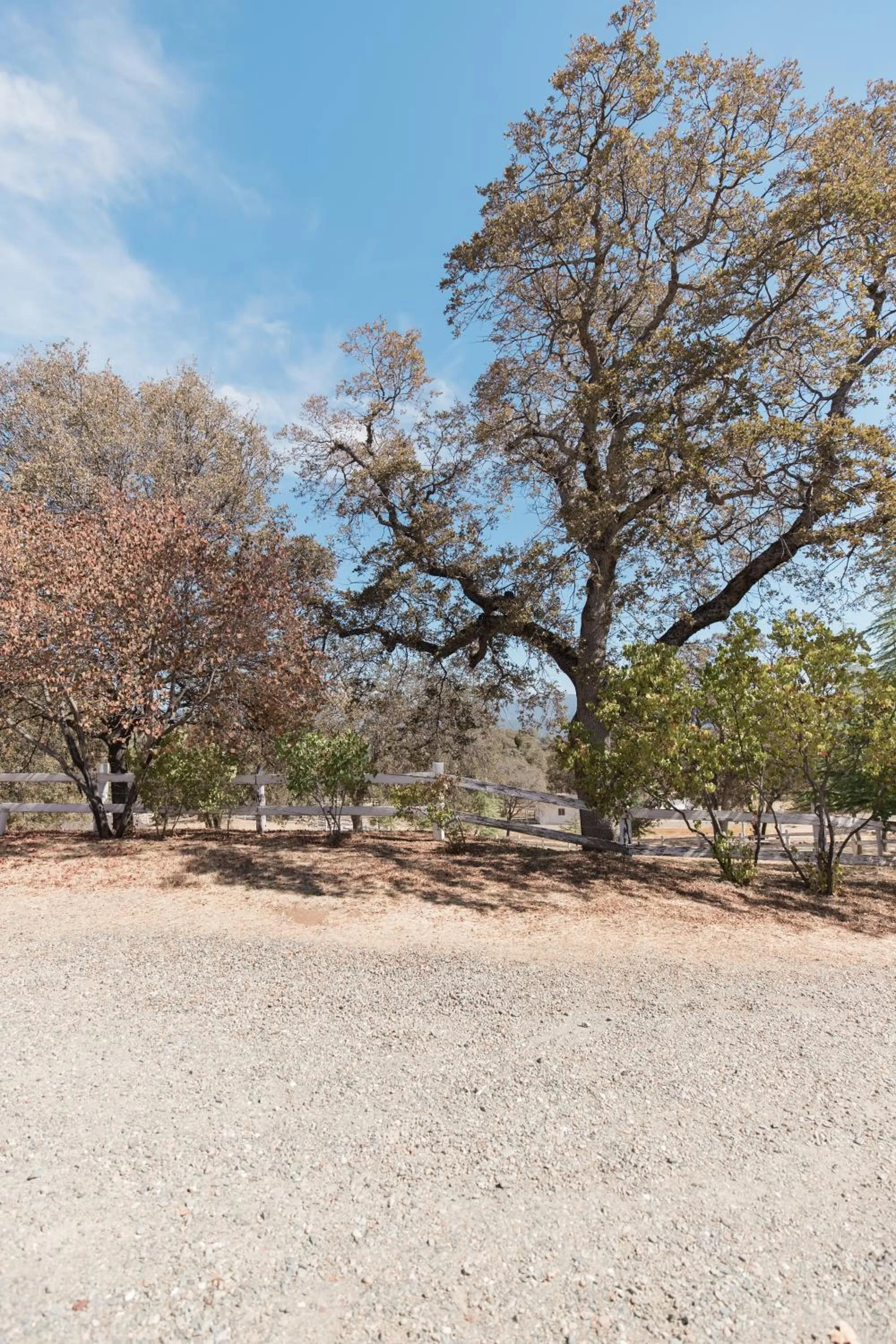 Natural landscape in Moon Ranch - a gateway to Yosemite