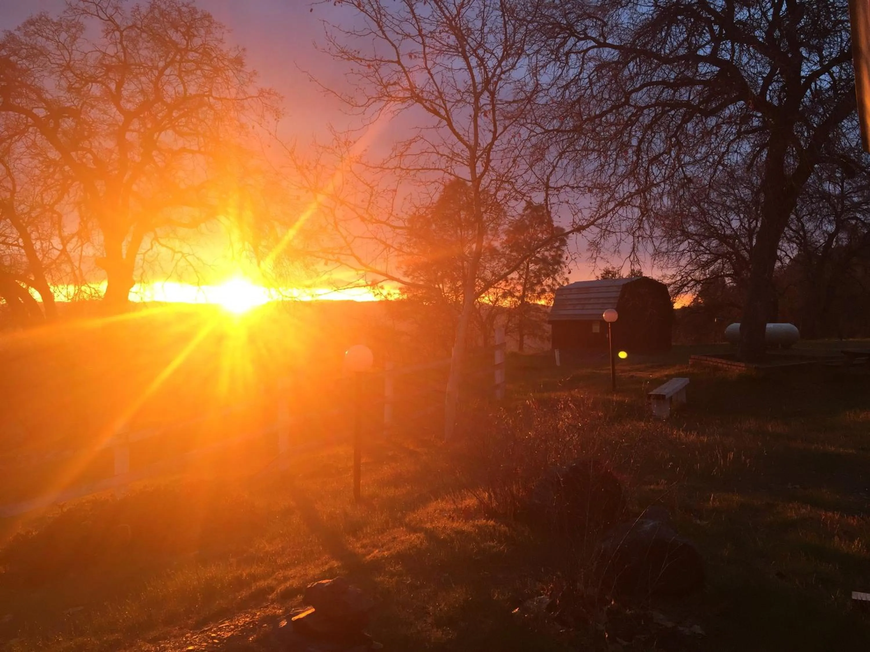 View (from property/room) in Moon Ranch - a gateway to Yosemite
