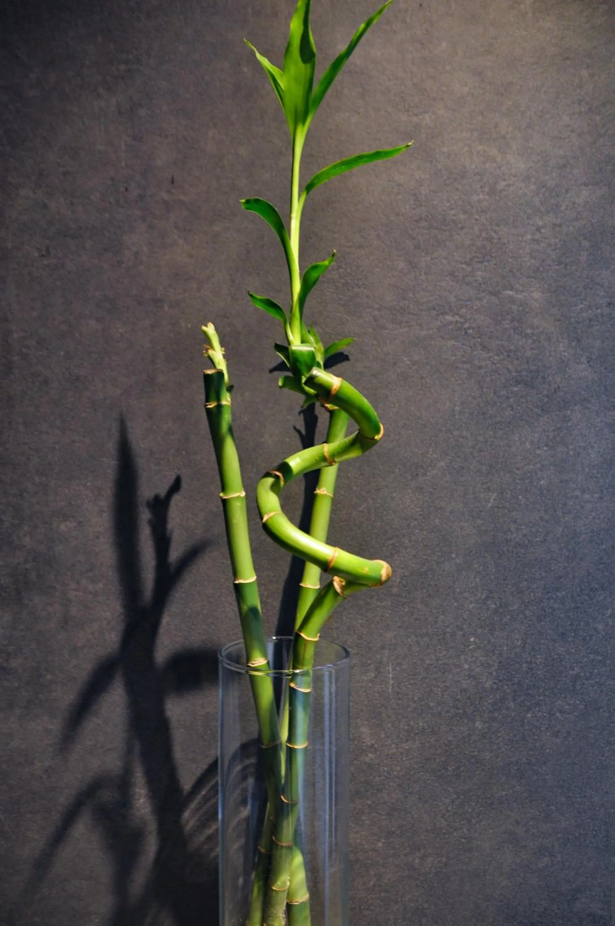 Decorative detail in Deer House BnB