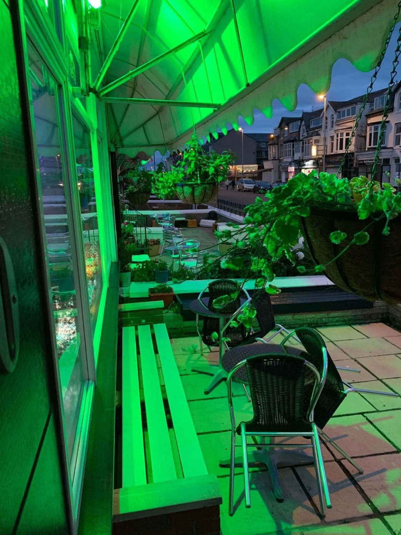 Garden in Granville Hotel