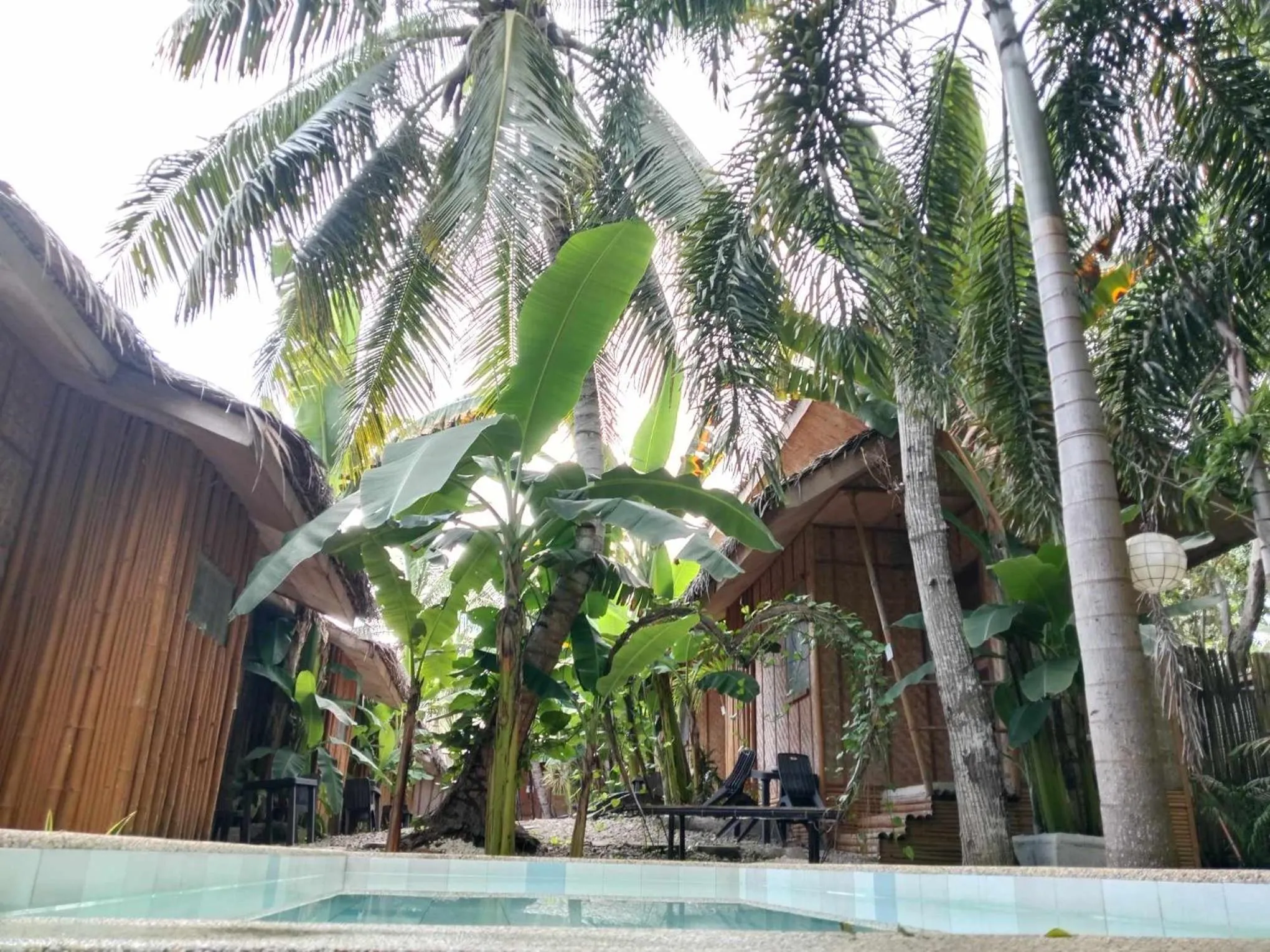 Ecostay Panglao Resort Hotel