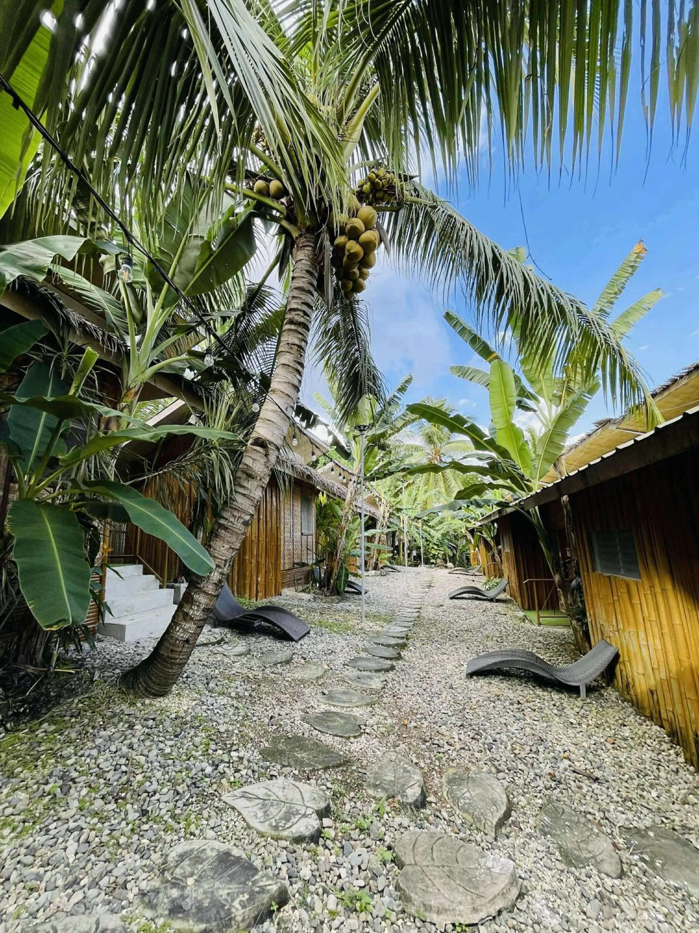 View (from property/room) in Ecostay Panglao Resort Hotel