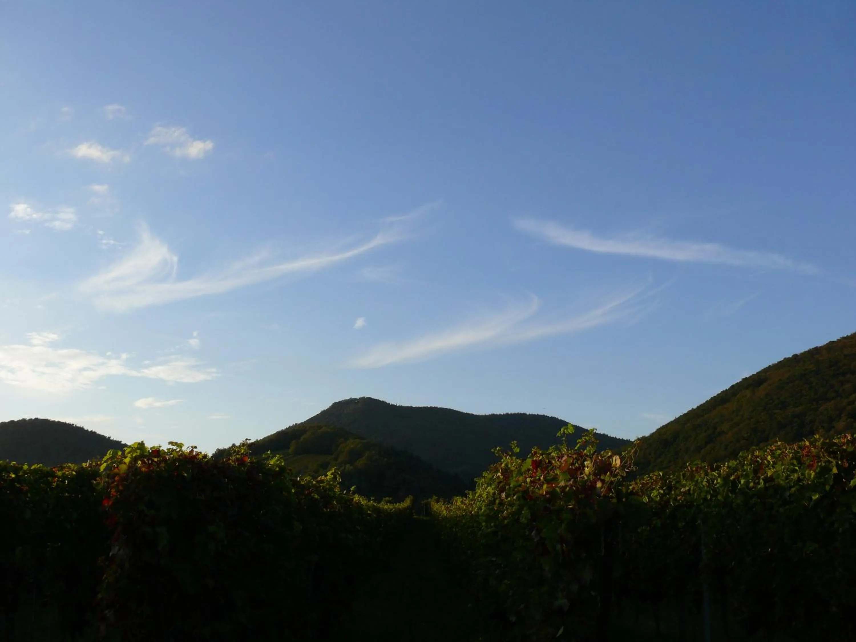 Day in Landhotel Sonnenhof