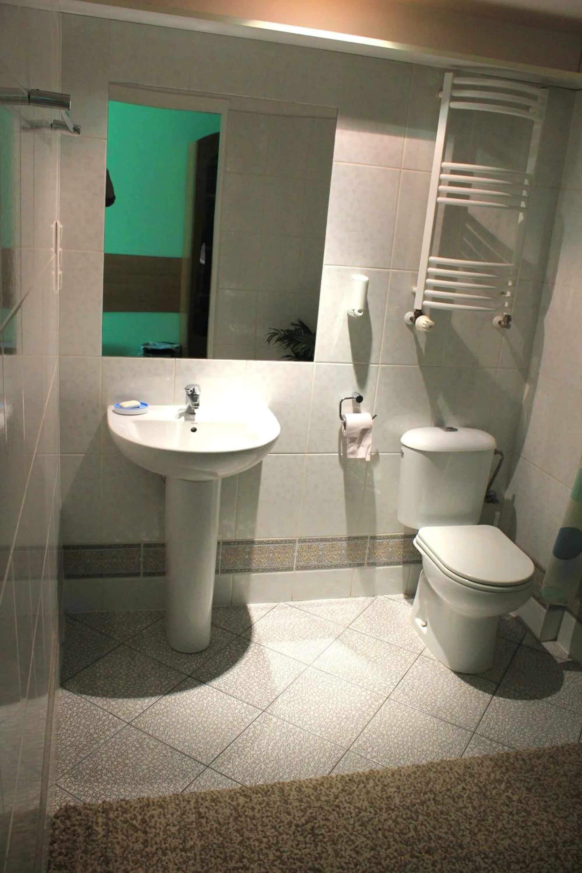 Toilet in Adeo Hostel