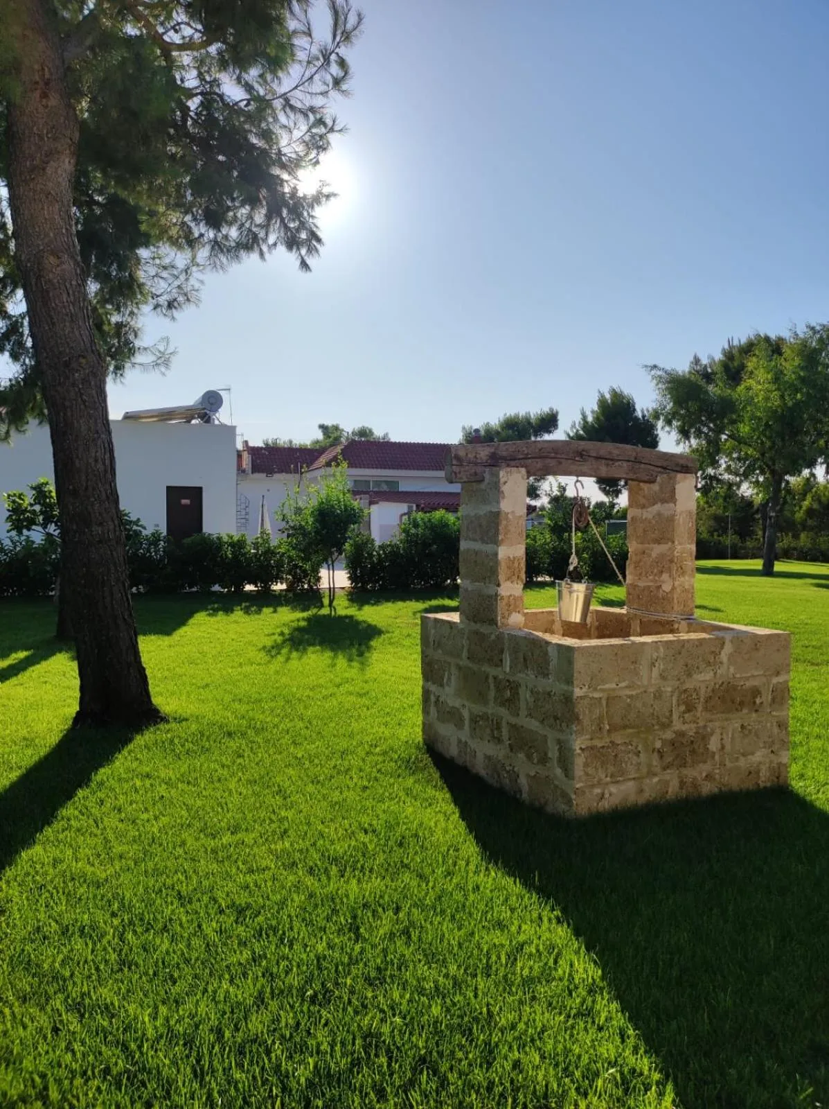 Garden in B&B Villa VITTORIO