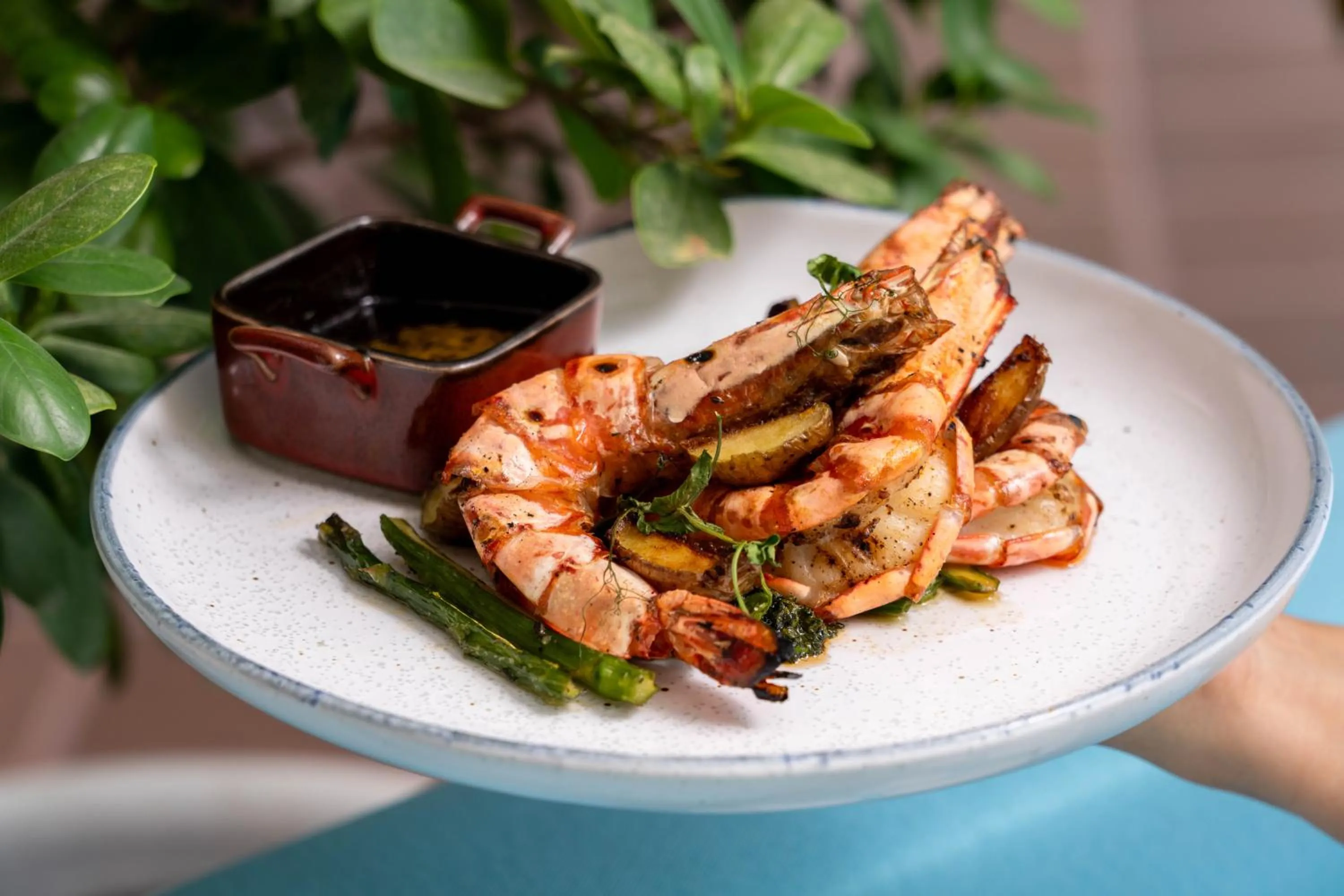 Restaurant/places to eat in Andaz Family Suites by Hyatt- Palm Jumeirah