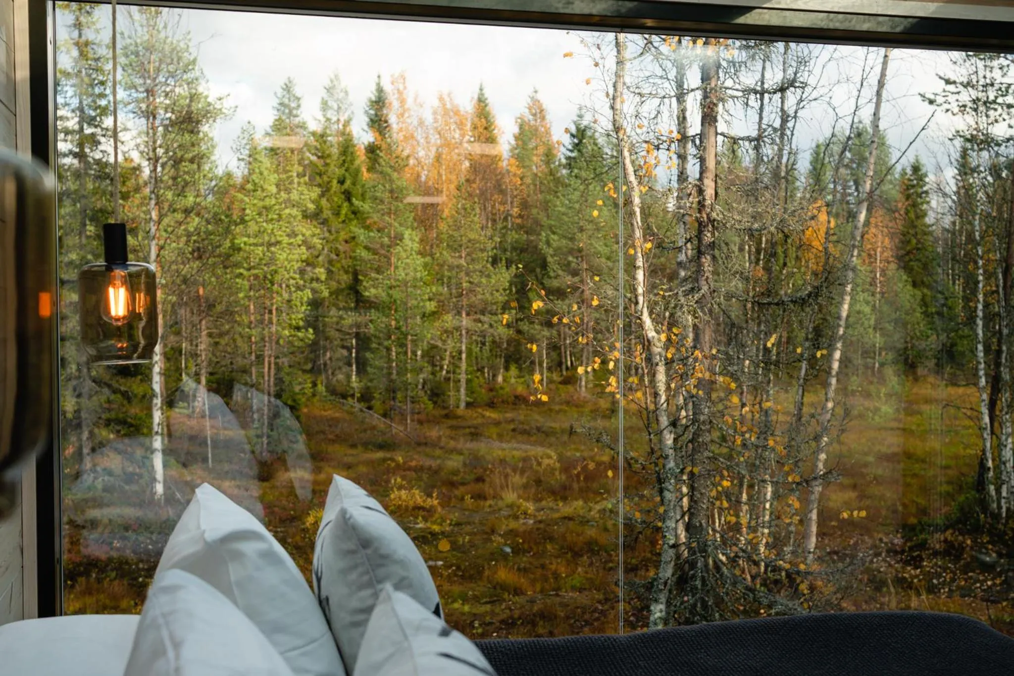 View (from property/room) in Kuuru Tunturilaakso by Kide Hotel