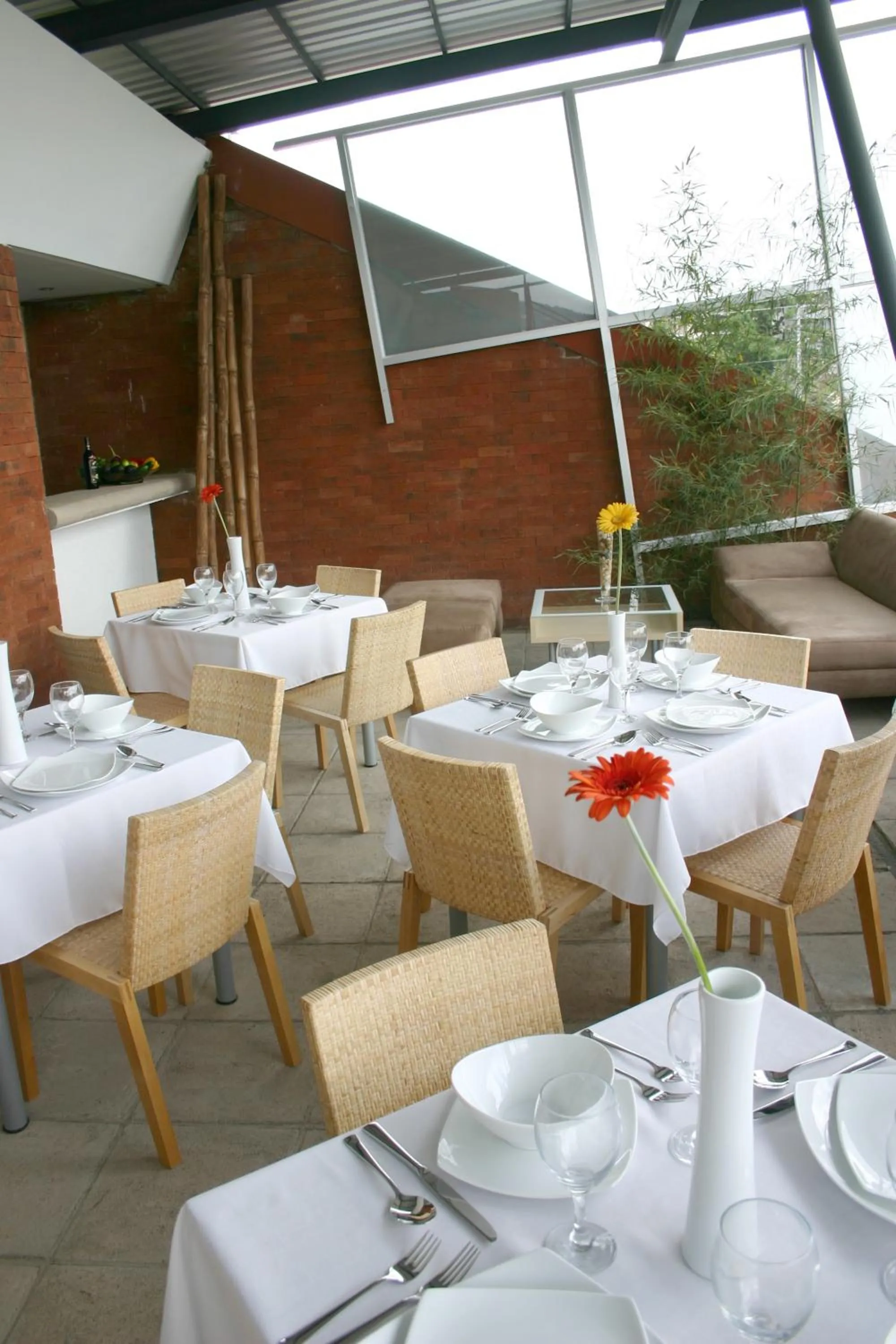 Patio in Hotel Piedraluna
