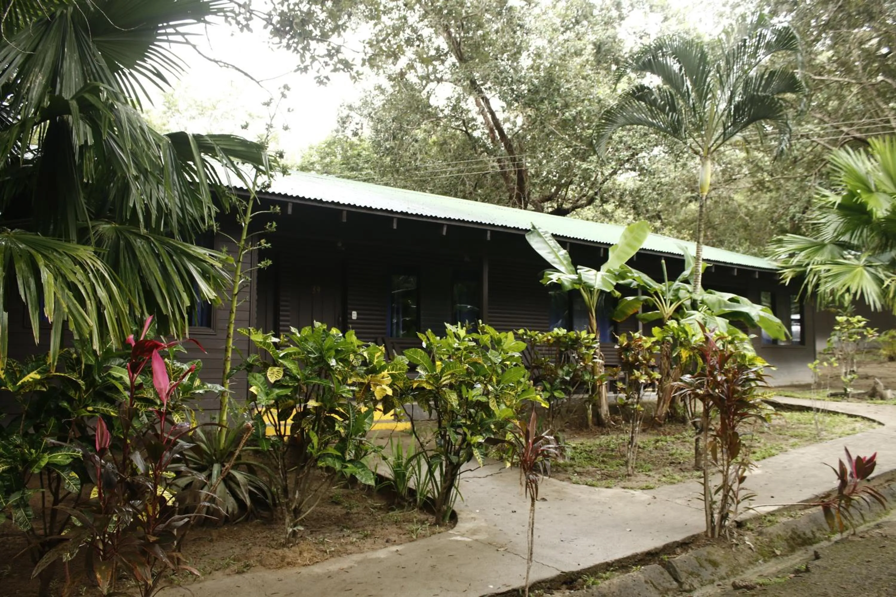 Garden view in Cañon de la Vieja Lodge