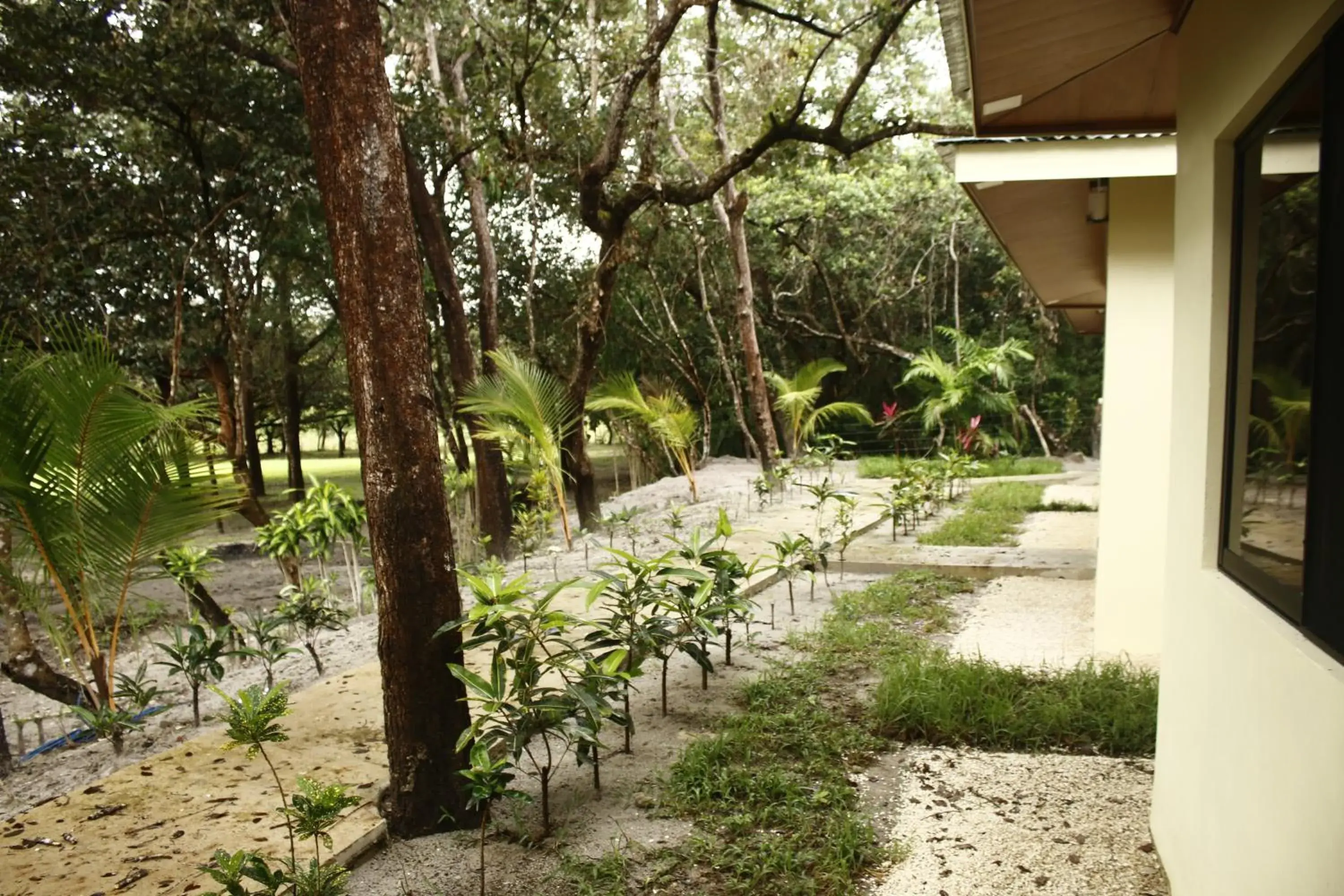 Deluxe Double Room with Two Double Beds in Cañon de la Vieja Lodge Deluxe Double Room with Two Double Beds in Cañon de la Vieja Lodge