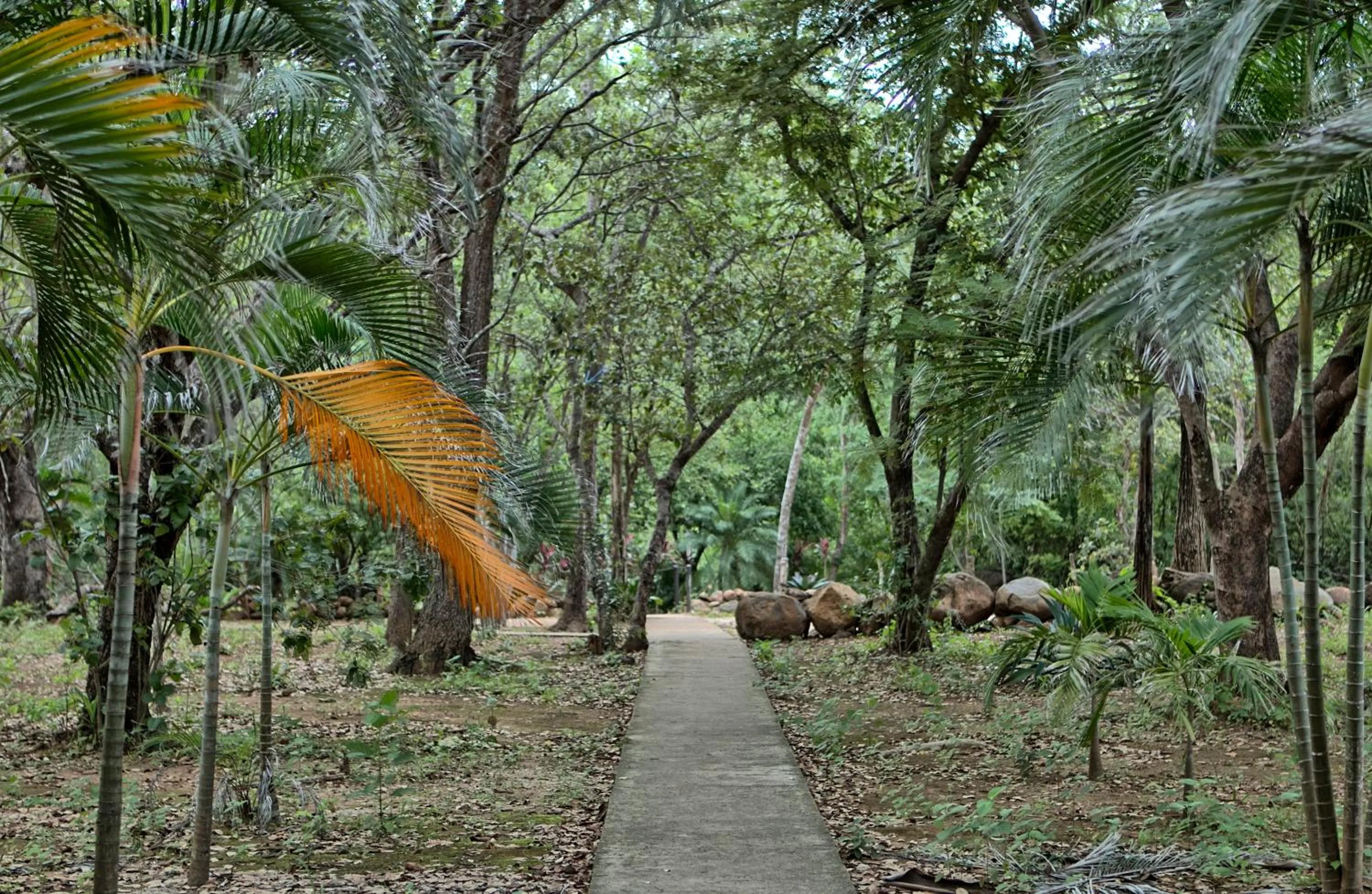 Garden in Cañon de la Vieja Lodge
