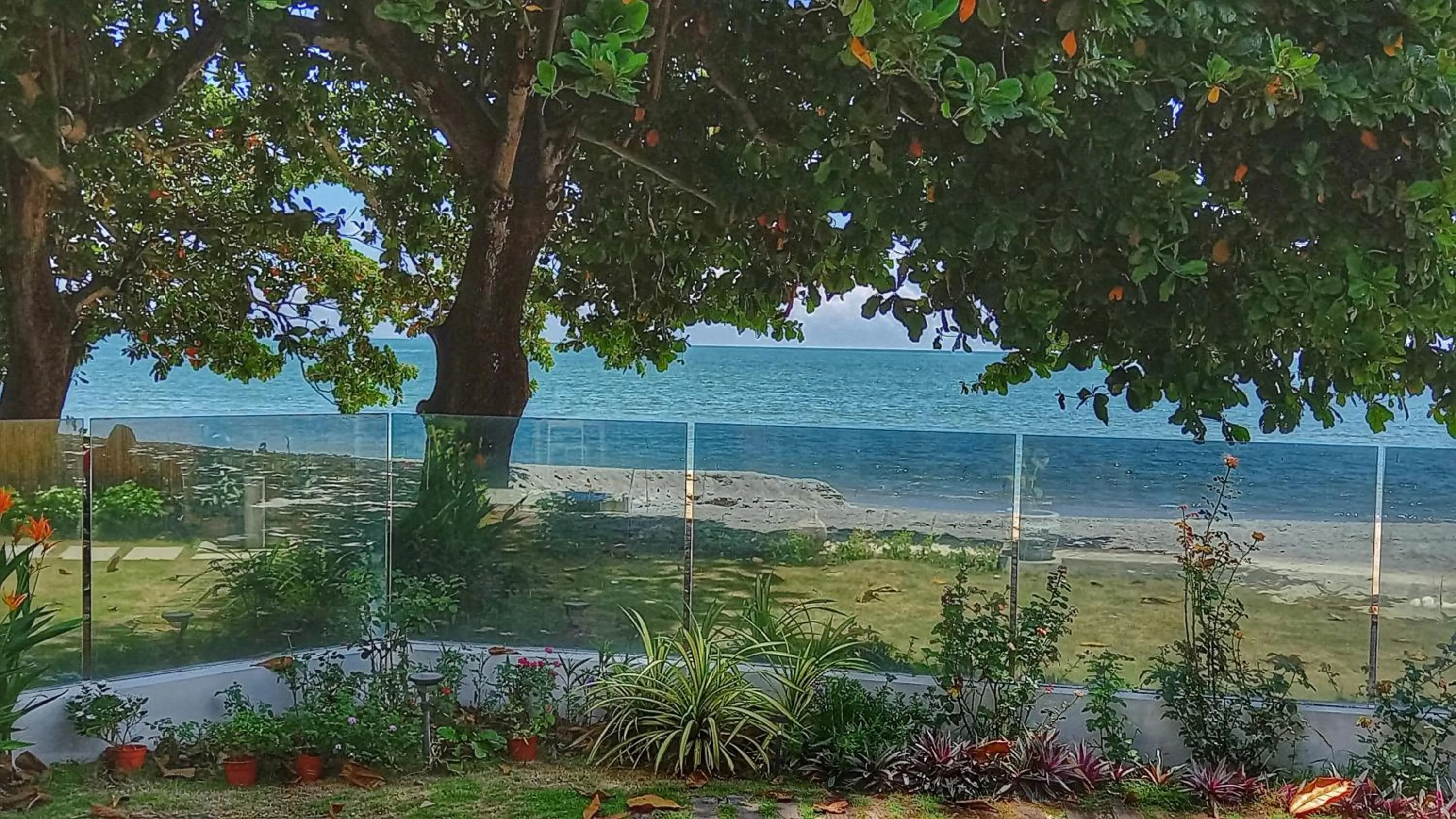 Smell rose beach garden花语海沙滩花园