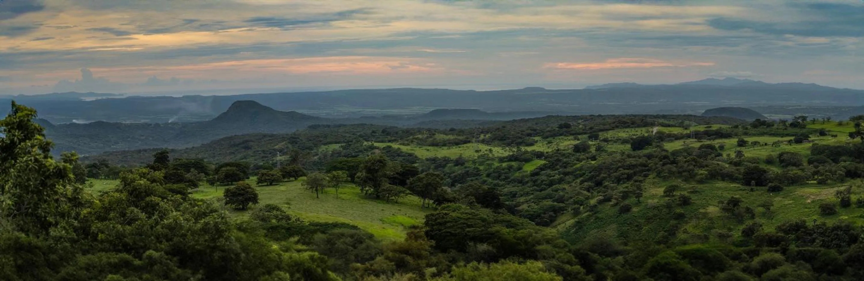 Nearby landmark in Buena Vista del Rincón Eco Adventure Park Hotel & Spa